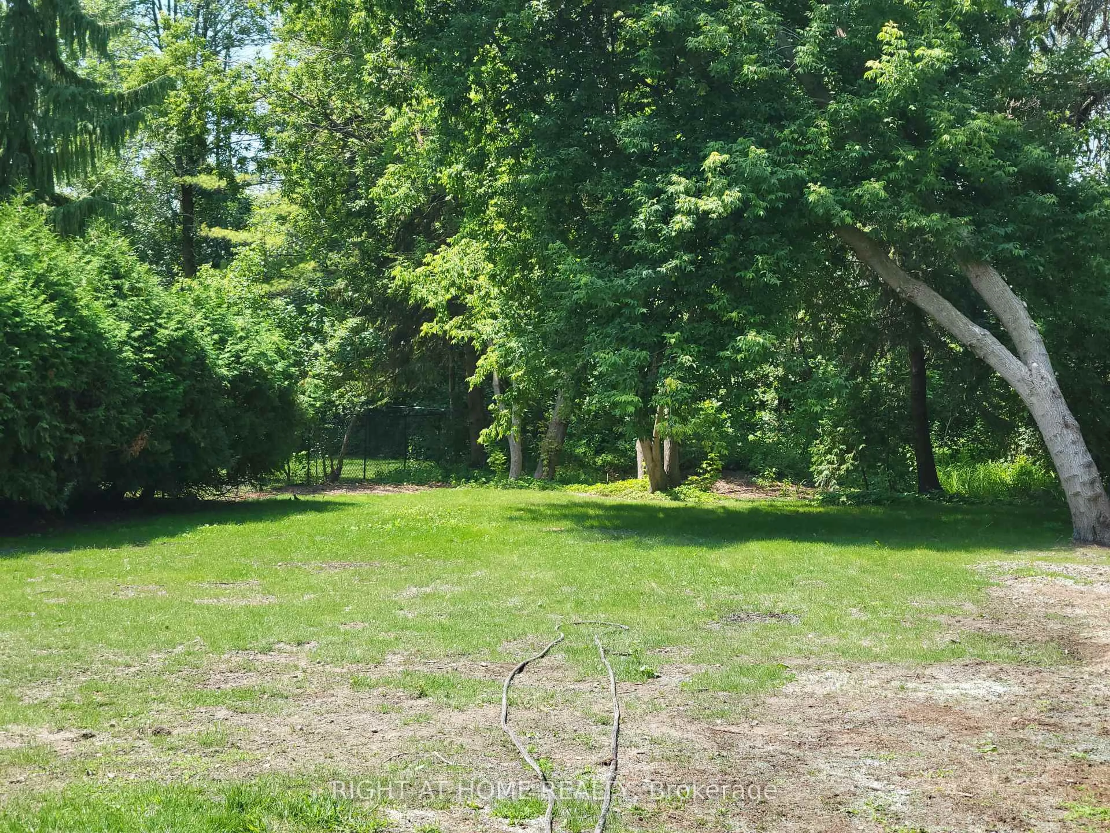 A pic from outside/outdoor area/front of a property/back of a property/a pic from drone, forest/trees view for 29 Niagara St, Collingwood Ontario L9W 3X1