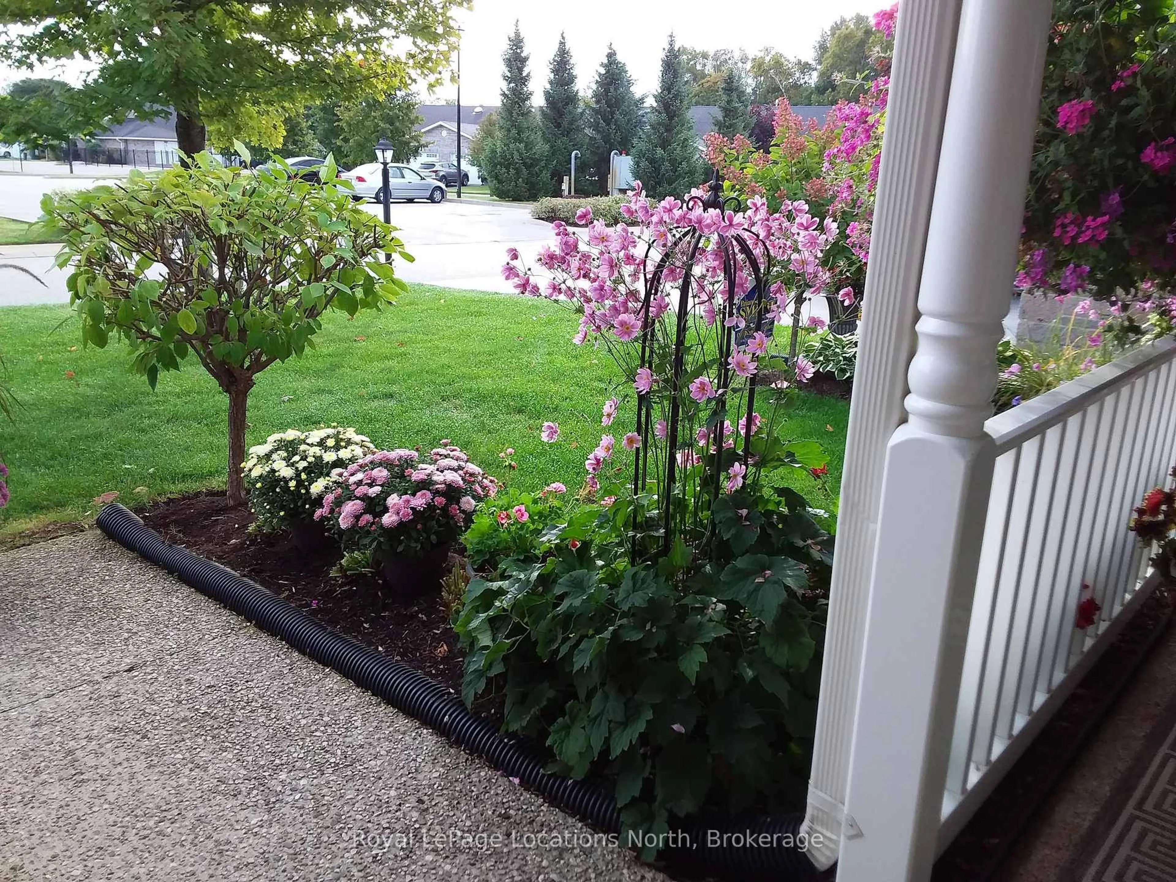 Patio, street for 56 GARDEN GROVE Cres, Wasaga Beach Ontario L9Z 0E6