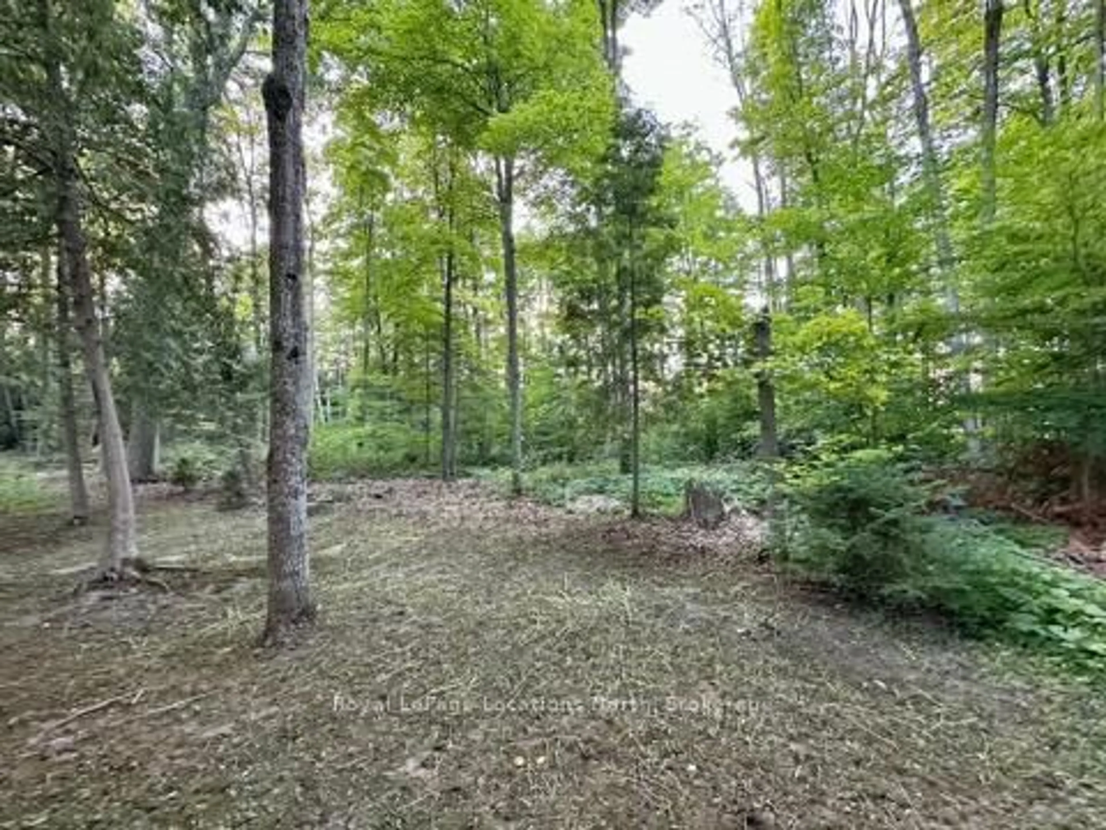 A pic from outside/outdoor area/front of a property/back of a property/a pic from drone, forest/trees view for 35 The Boardwalk, Wasaga Beach Ontario L9Z 3A8