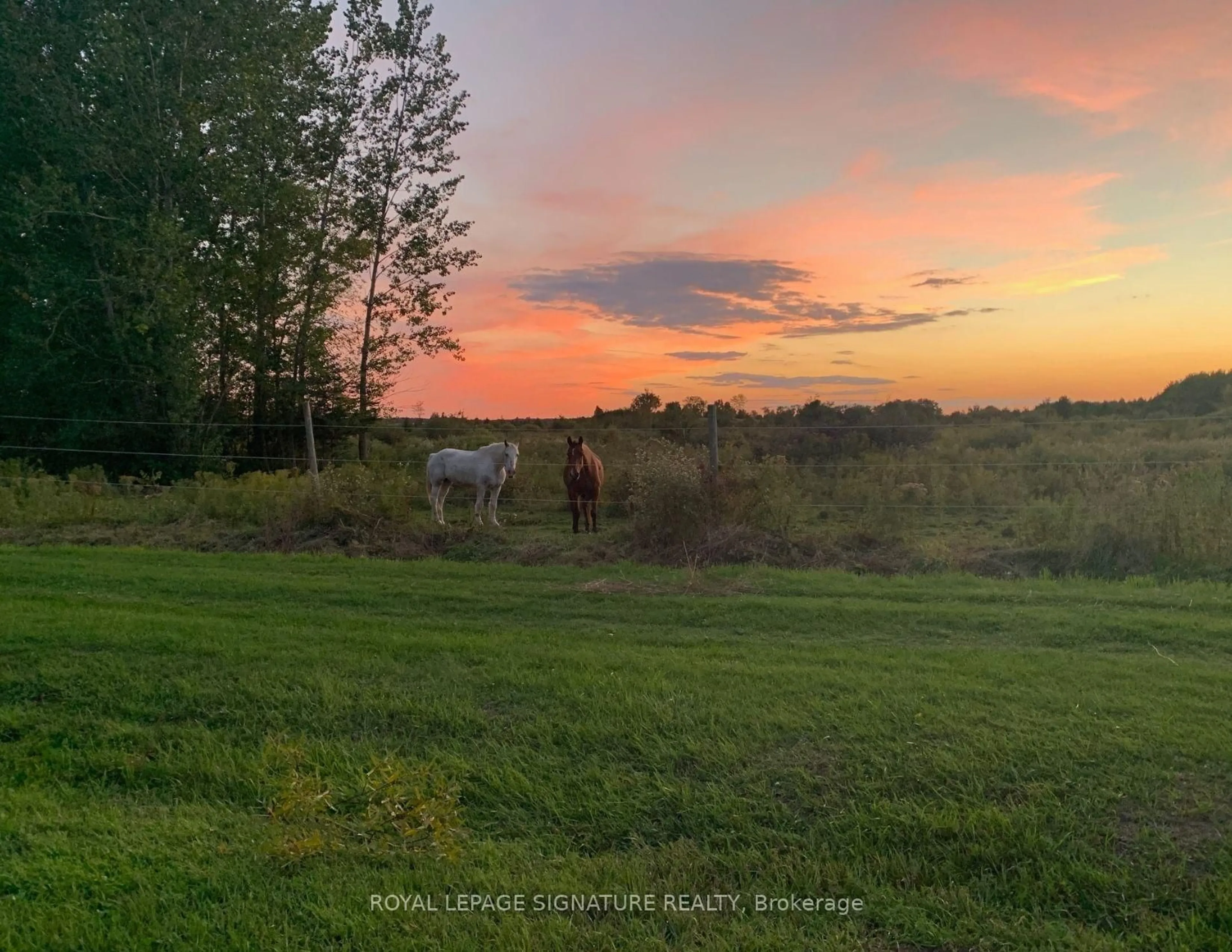 Blurry image for 1152 Concession Rd, Ramara Ontario L0K 1B0
