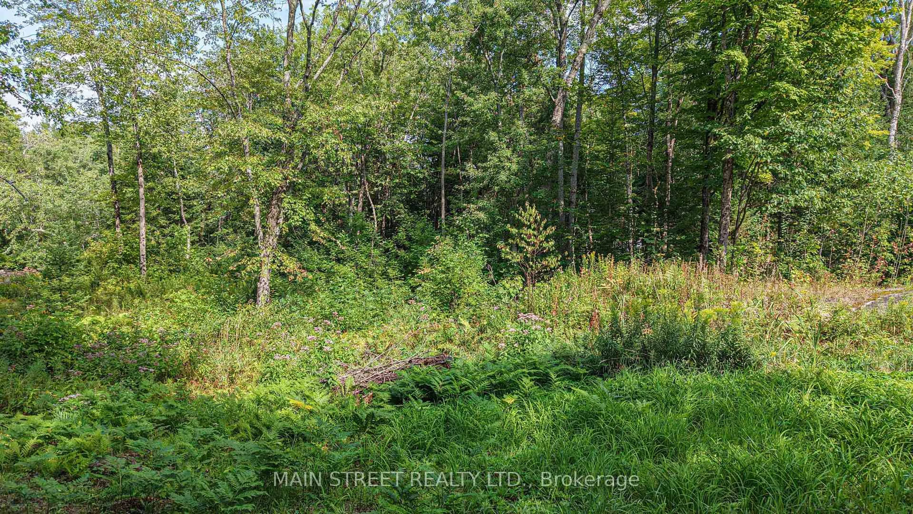 A pic from outside/outdoor area/front of a property/back of a property/a pic from drone, forest/trees view for 6583 Pioneer Village Lane, Ramara Ontario L0K 1W0