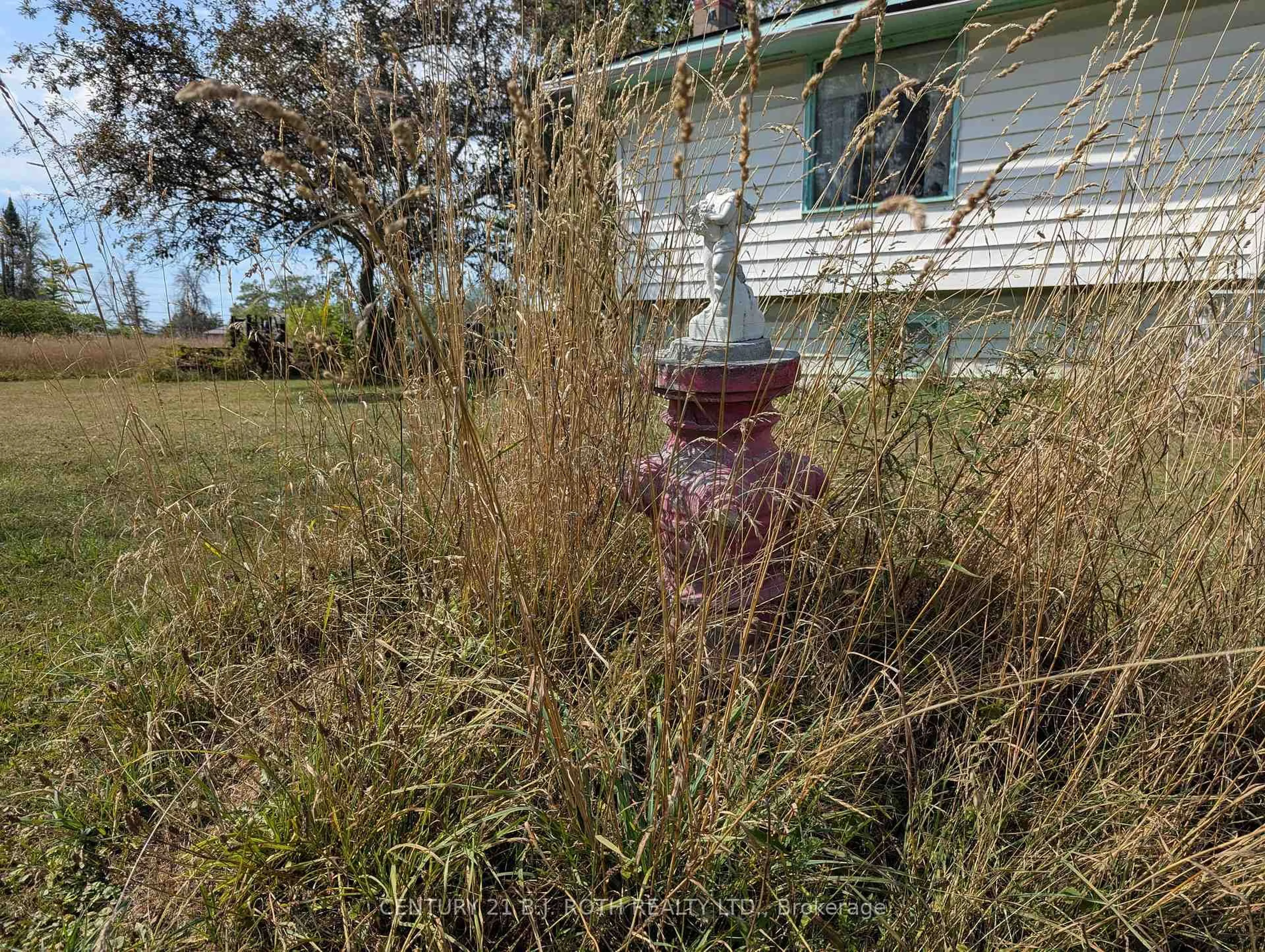 A pic from outside/outdoor area/front of a property/back of a property/a pic from drone, building for 4194 Airport Rd, Ramara Ontario L3V 0K6