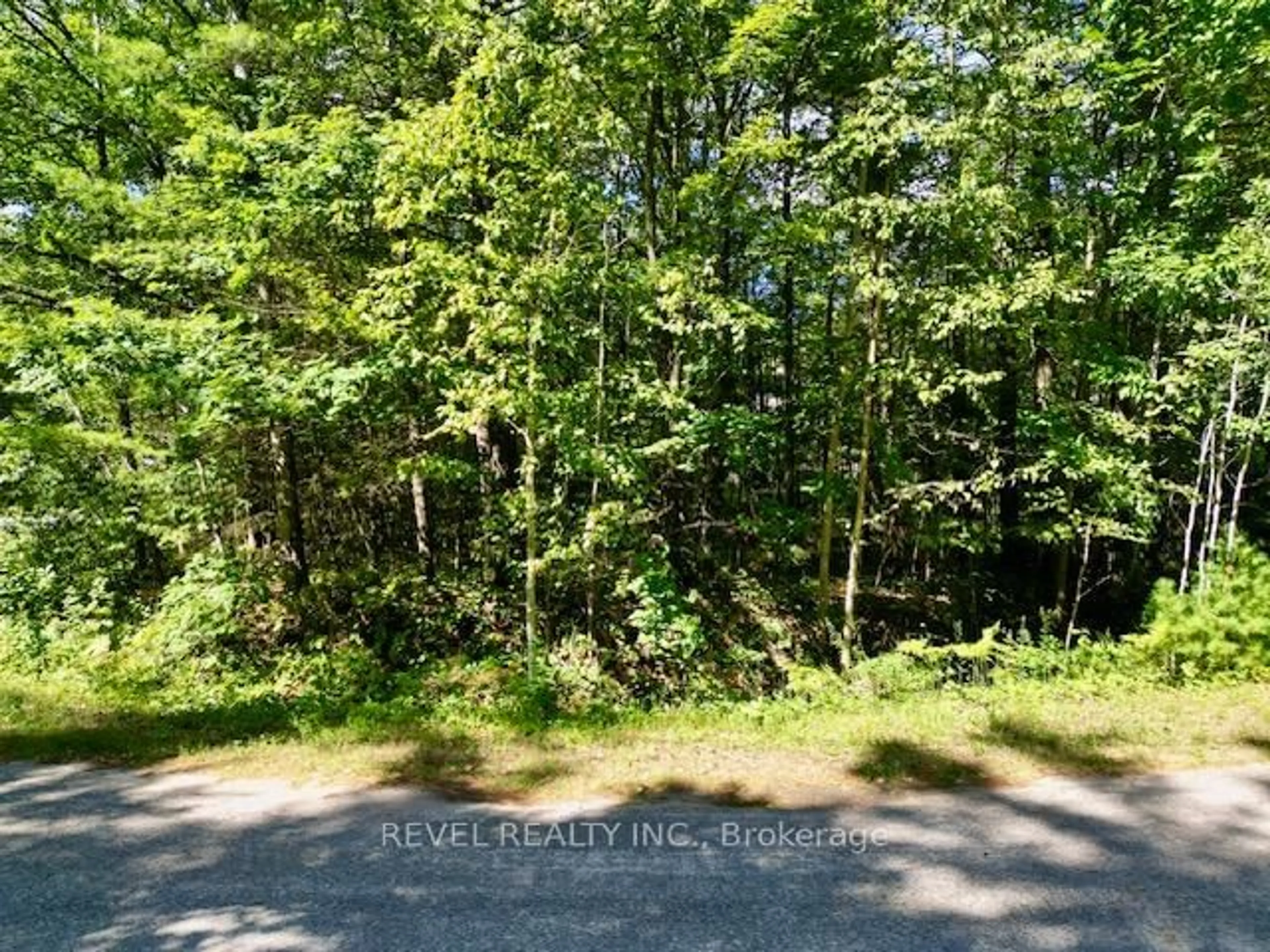 A pic from outside/outdoor area/front of a property/back of a property/a pic from drone, forest/trees view for Lot 14 Pineshore Cres, Tiny Ontario L0L 2T0