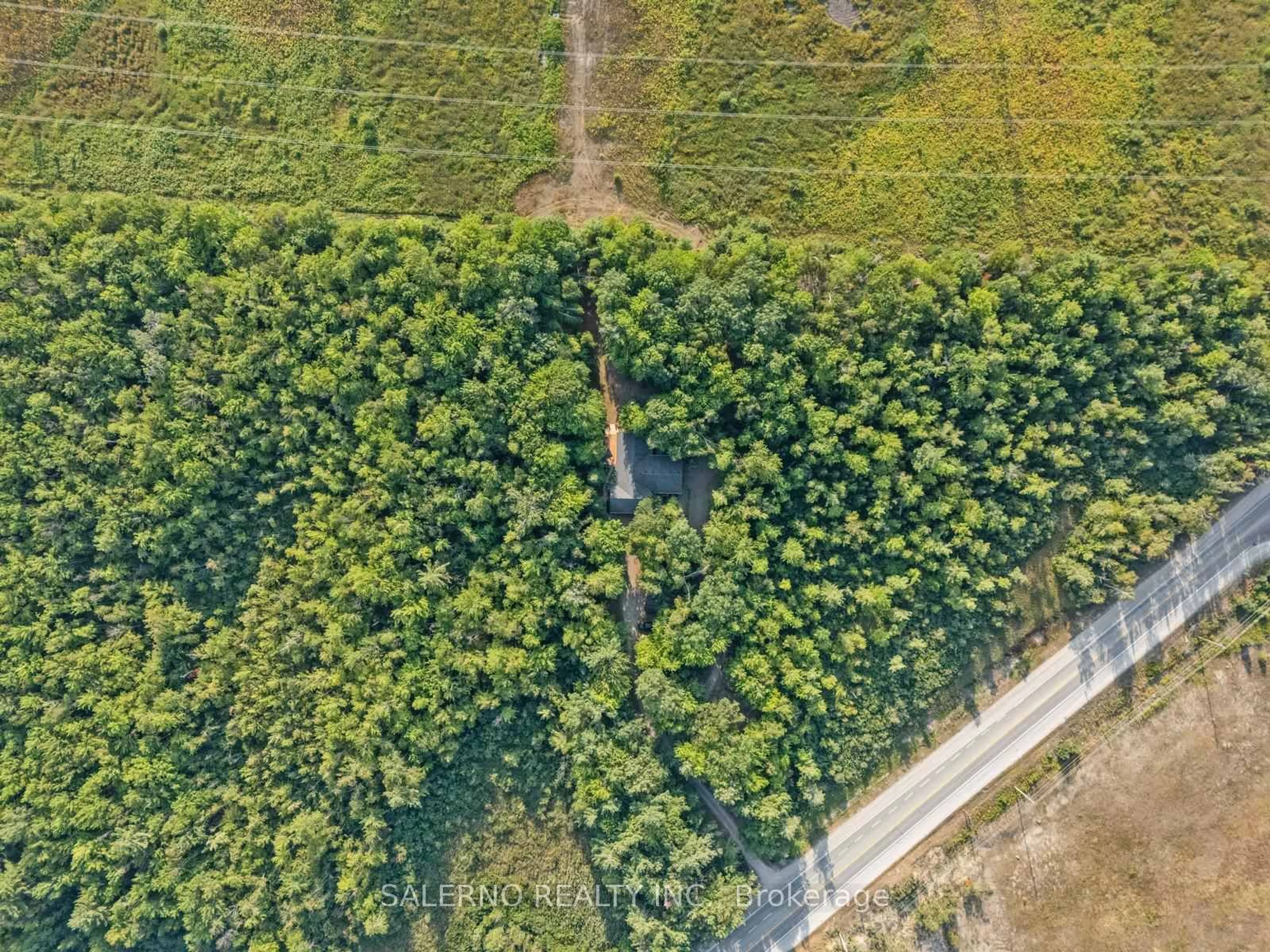 A pic from outside/outdoor area/front of a property/back of a property/a pic from drone, forest/trees view for 3992 Penetanguishene Rd, Springwater Ontario L0L 1V0