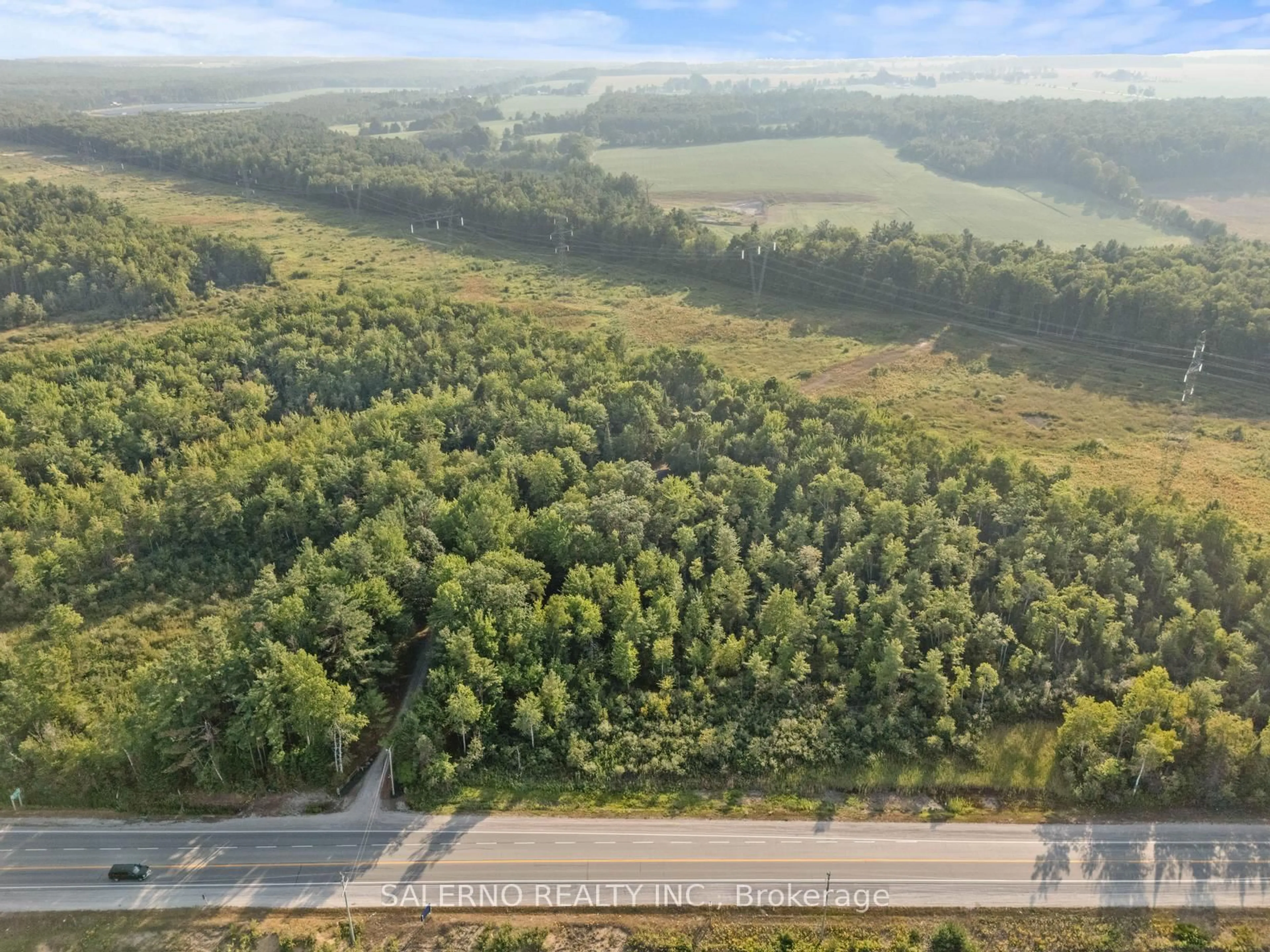 A pic from outside/outdoor area/front of a property/back of a property/a pic from drone, forest/trees view for 3992 Penetanguishene Rd, Springwater Ontario L0L 1V0