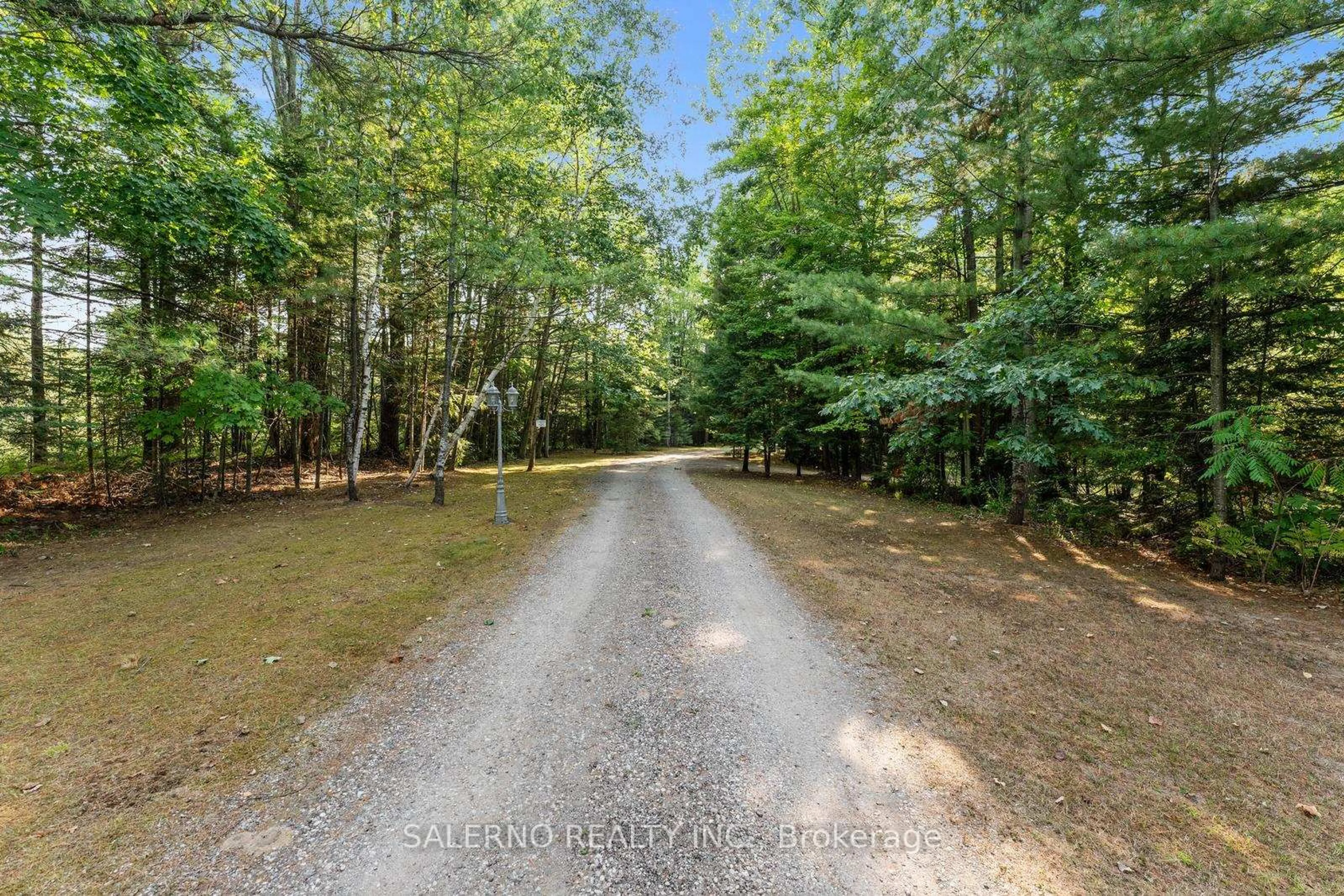 A pic from outside/outdoor area/front of a property/back of a property/a pic from drone, forest/trees view for 3992 Penetanguishene Rd, Springwater Ontario L0L 1V0