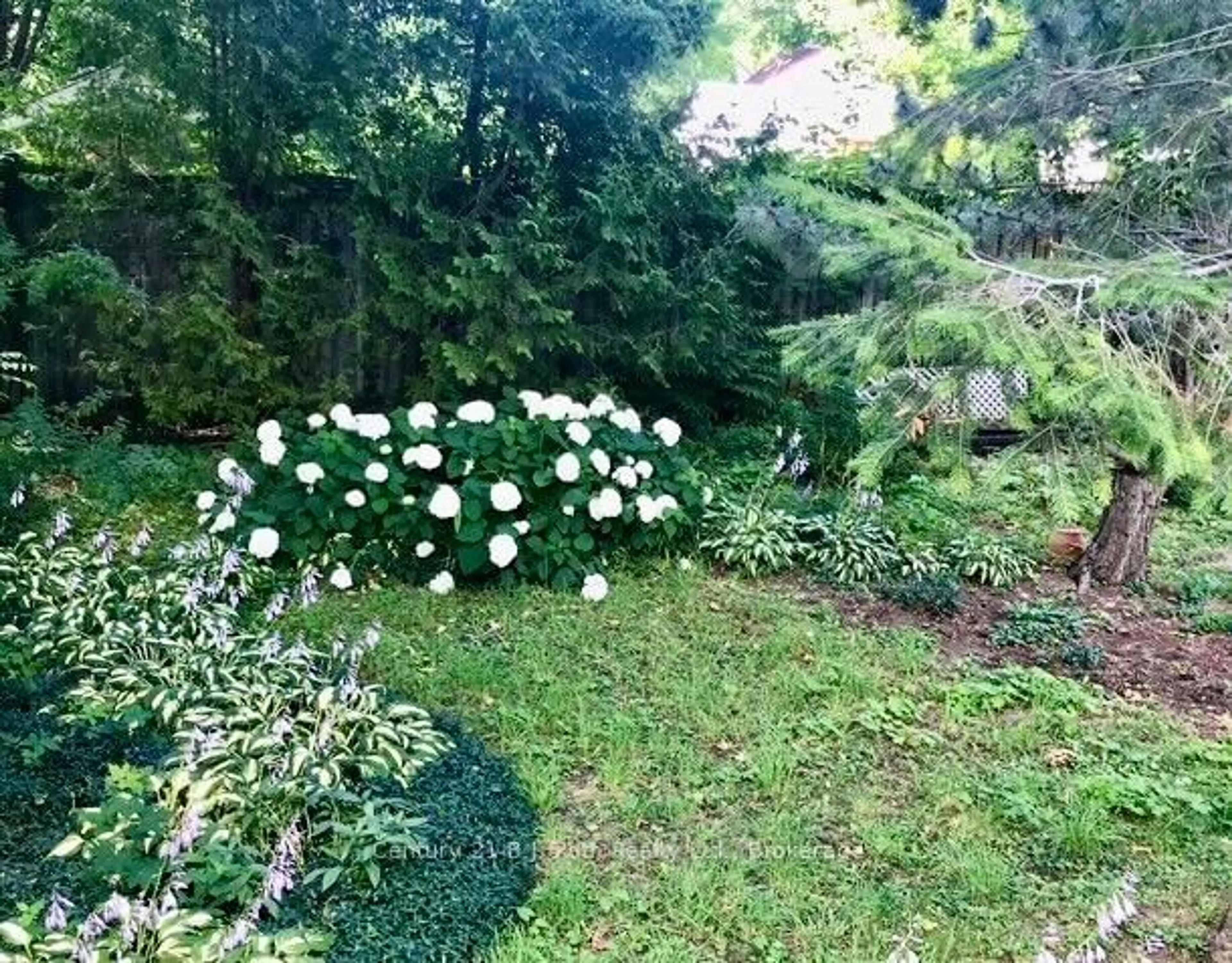 A pic from outside/outdoor area/front of a property/back of a property/a pic from drone, forest/trees view for 24 Champlain St, Orillia Ontario L3V 2G7