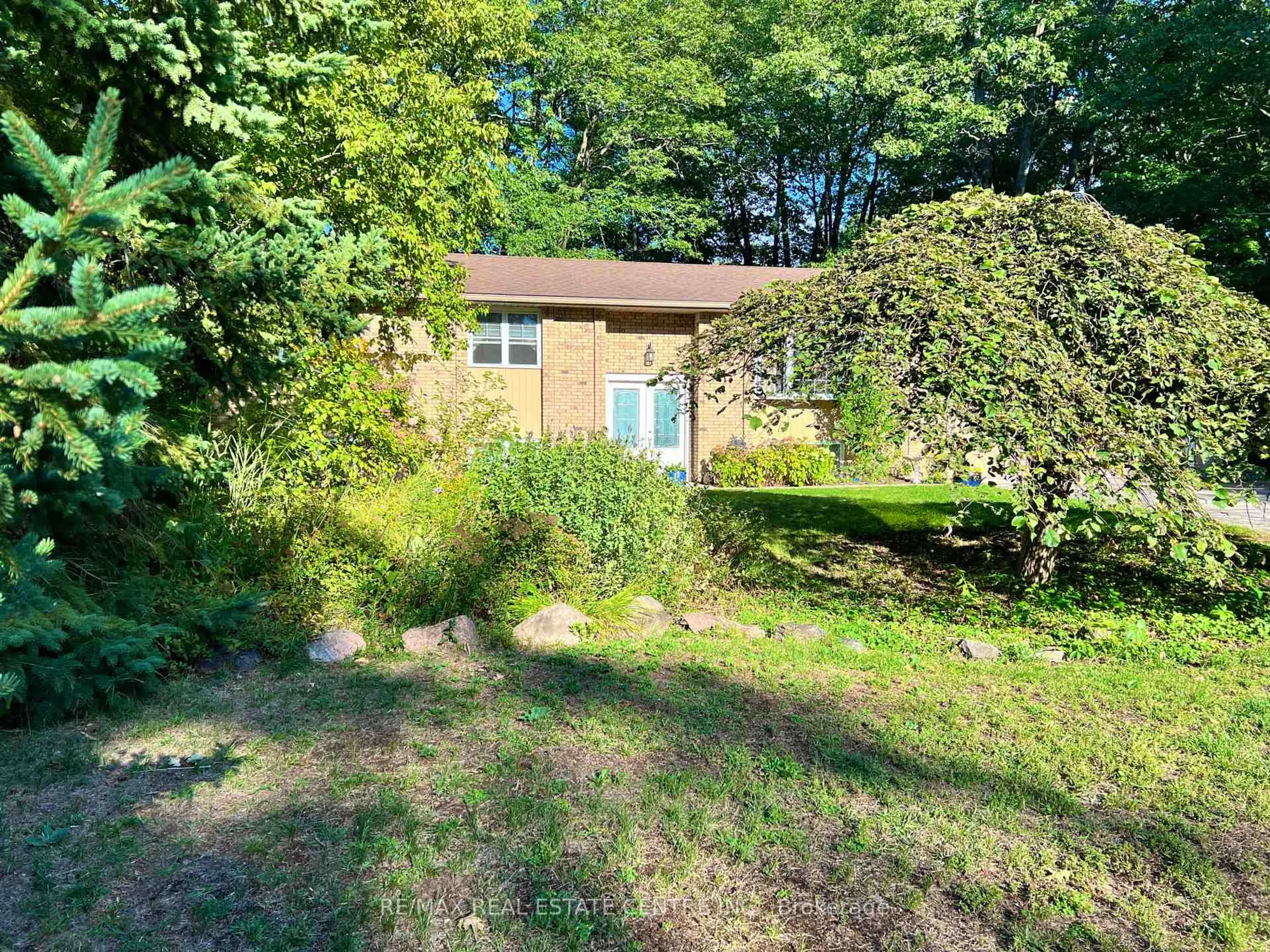 A pic from outside/outdoor area/front of a property/back of a property/a pic from drone, forest/trees view for 135 CHRISTOPHER Ave, Wasaga Beach Ontario L9Z 1S4