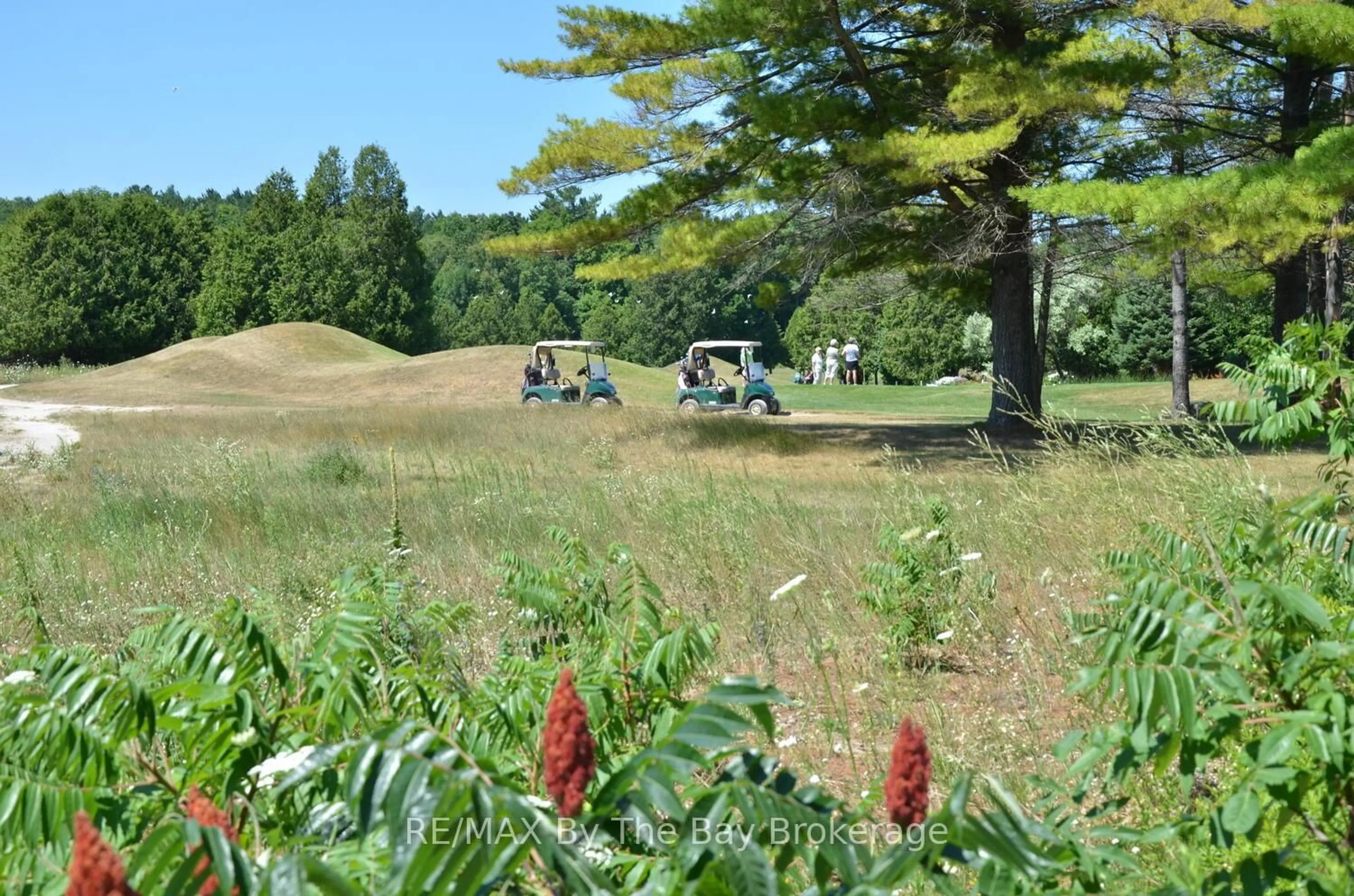 Blurry image for 60 Mulligan Lane #121, Wasaga Beach Ontario L9Z 0C5