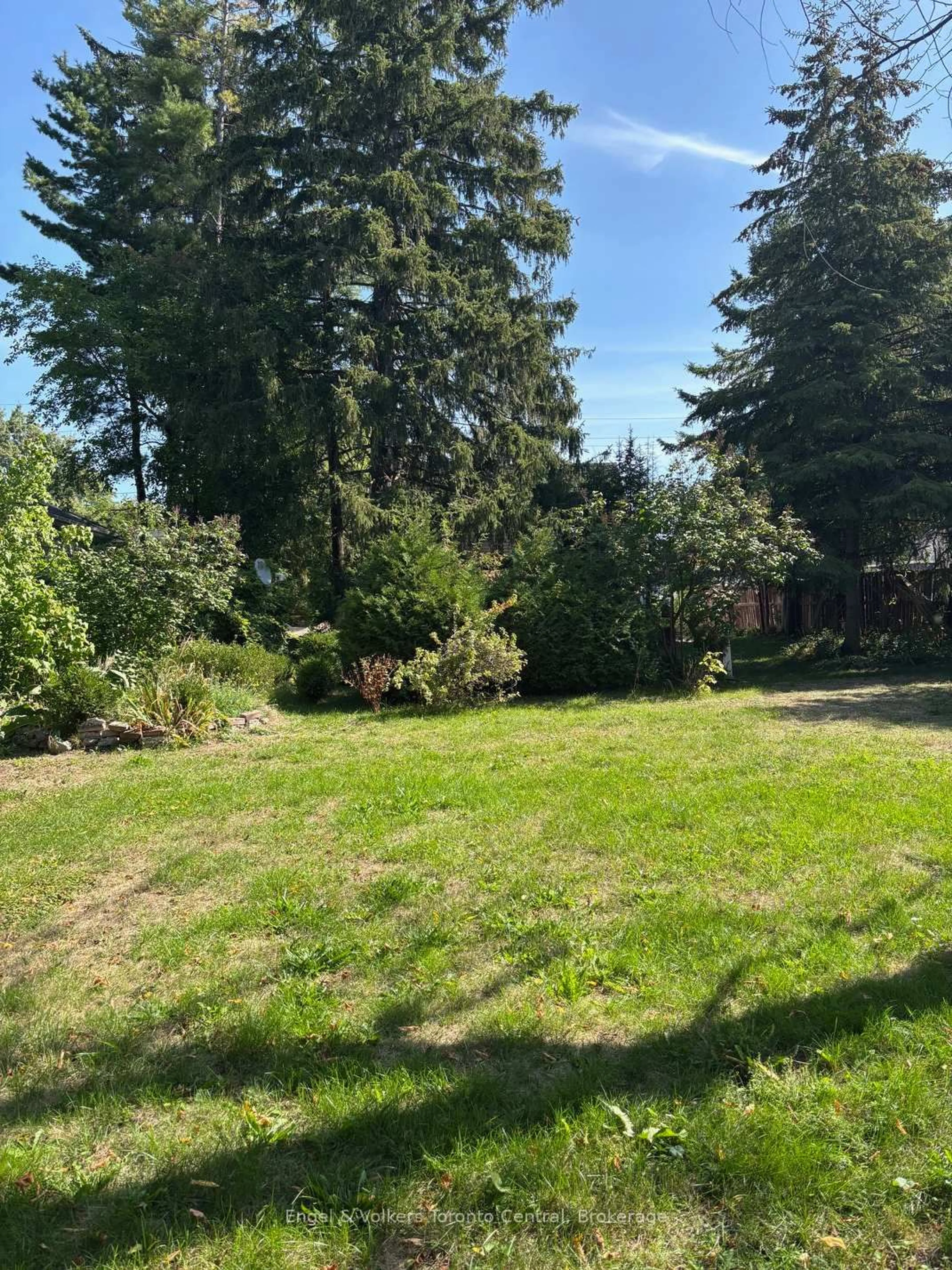 A pic from outside/outdoor area/front of a property/back of a property/a pic from drone, forest/trees view for 304 Saint Paul St, Collingwood Ontario L9Y 3P7