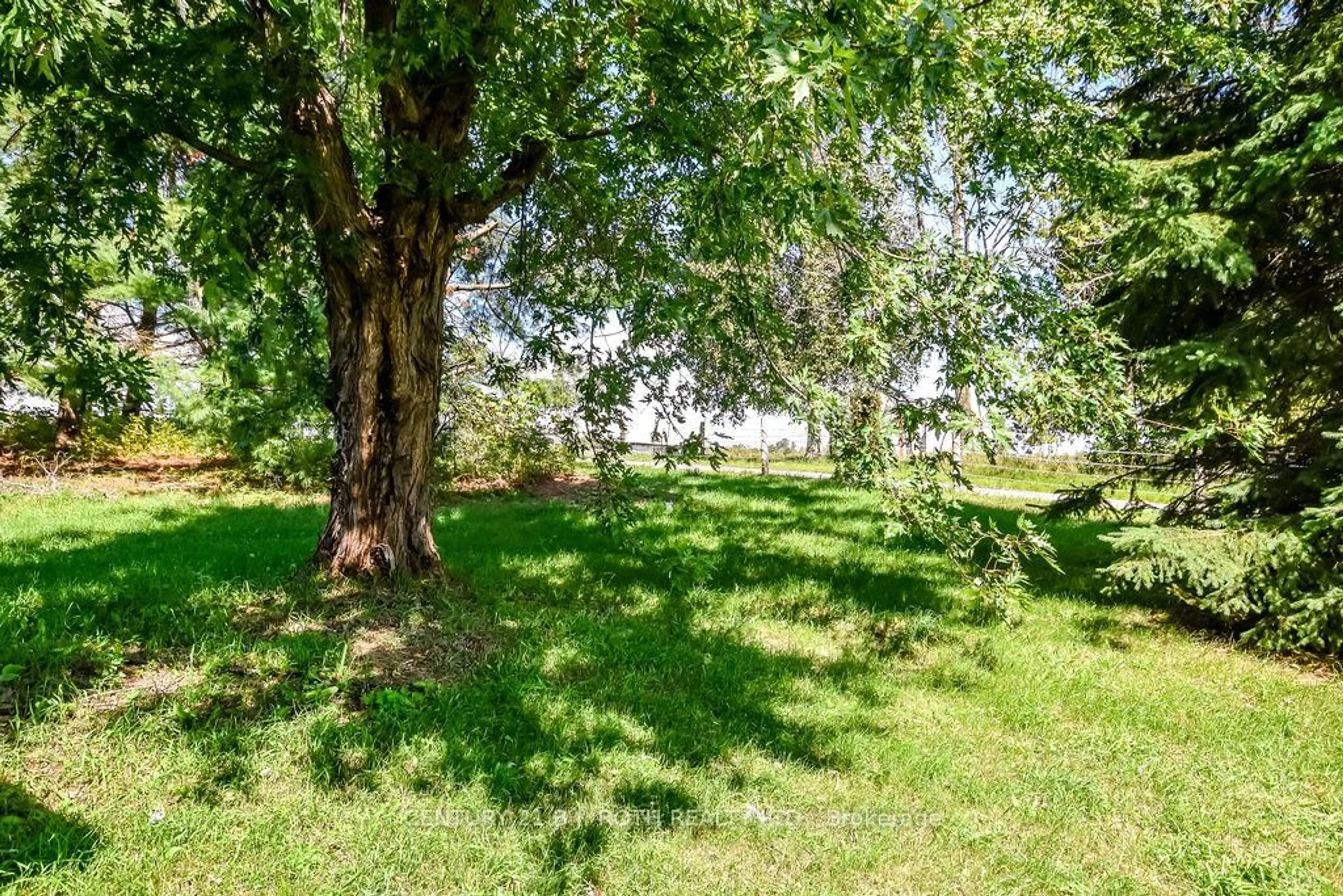 A pic from outside/outdoor area/front of a property/back of a property/a pic from drone, forest/trees view for 1998 Old Barrie Rd, Oro-Medonte Ontario L0L 1T0