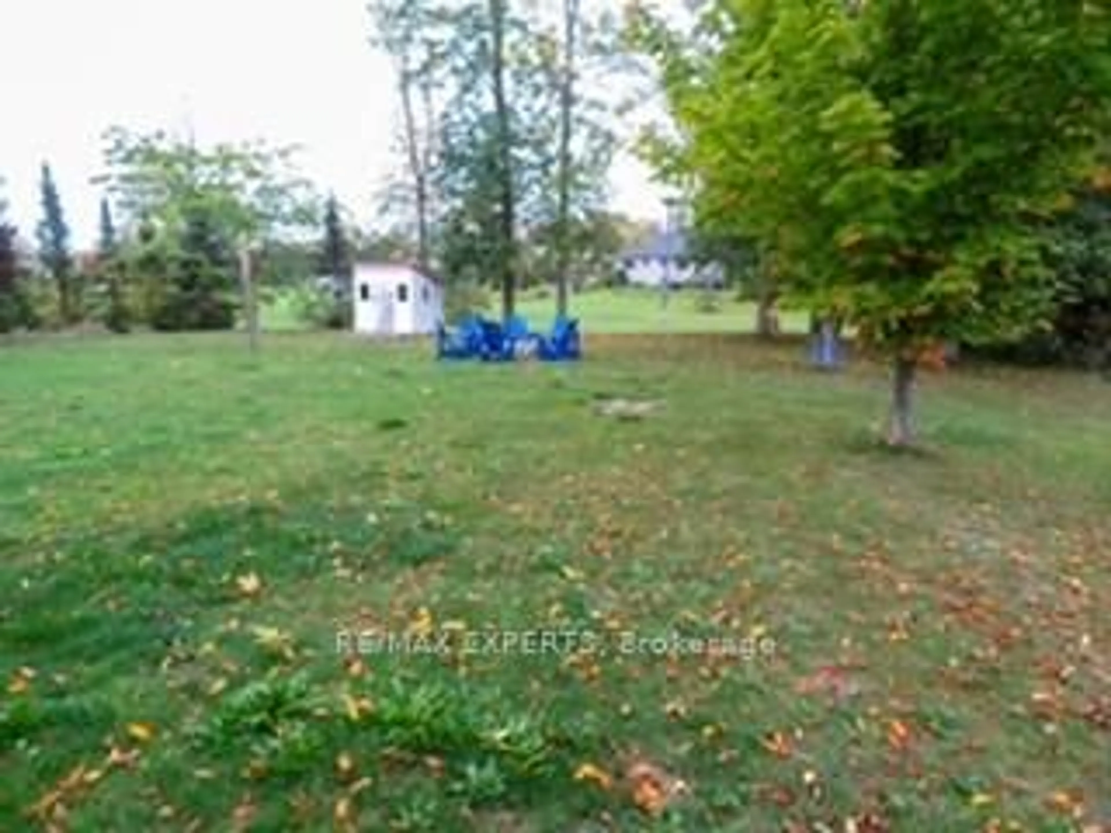 A pic from outside/outdoor area/front of a property/back of a property/a pic from drone, forest/trees view for 3771 Harry's Lane, Ramara Ontario L3V 0L1