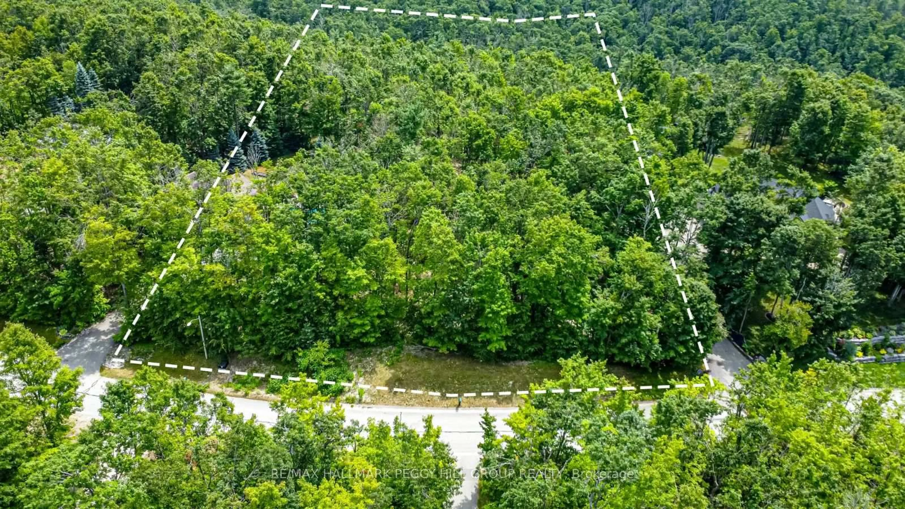 A pic from outside/outdoor area/front of a property/back of a property/a pic from drone, forest/trees view for 17 Maple Ridge Rd, Oro-Medonte Ontario L0L 2L0