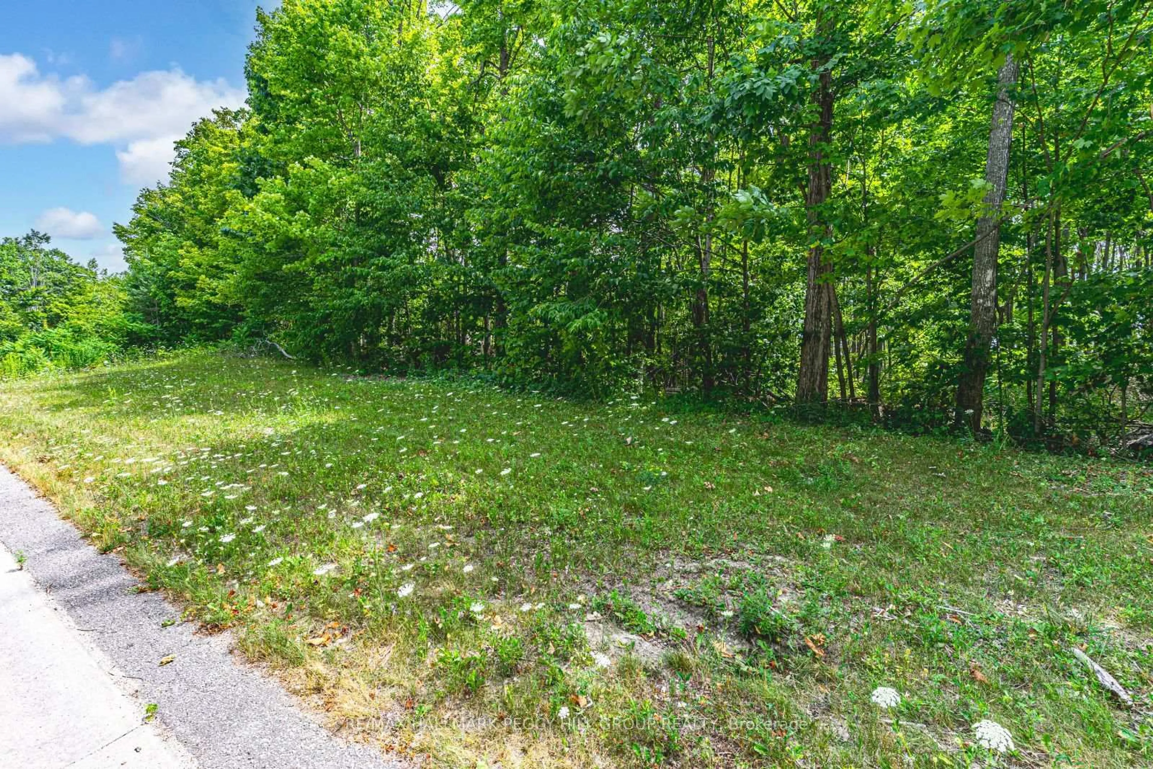 A pic from outside/outdoor area/front of a property/back of a property/a pic from drone, forest/trees view for 17 Maple Ridge Rd, Oro-Medonte Ontario L0L 2L0