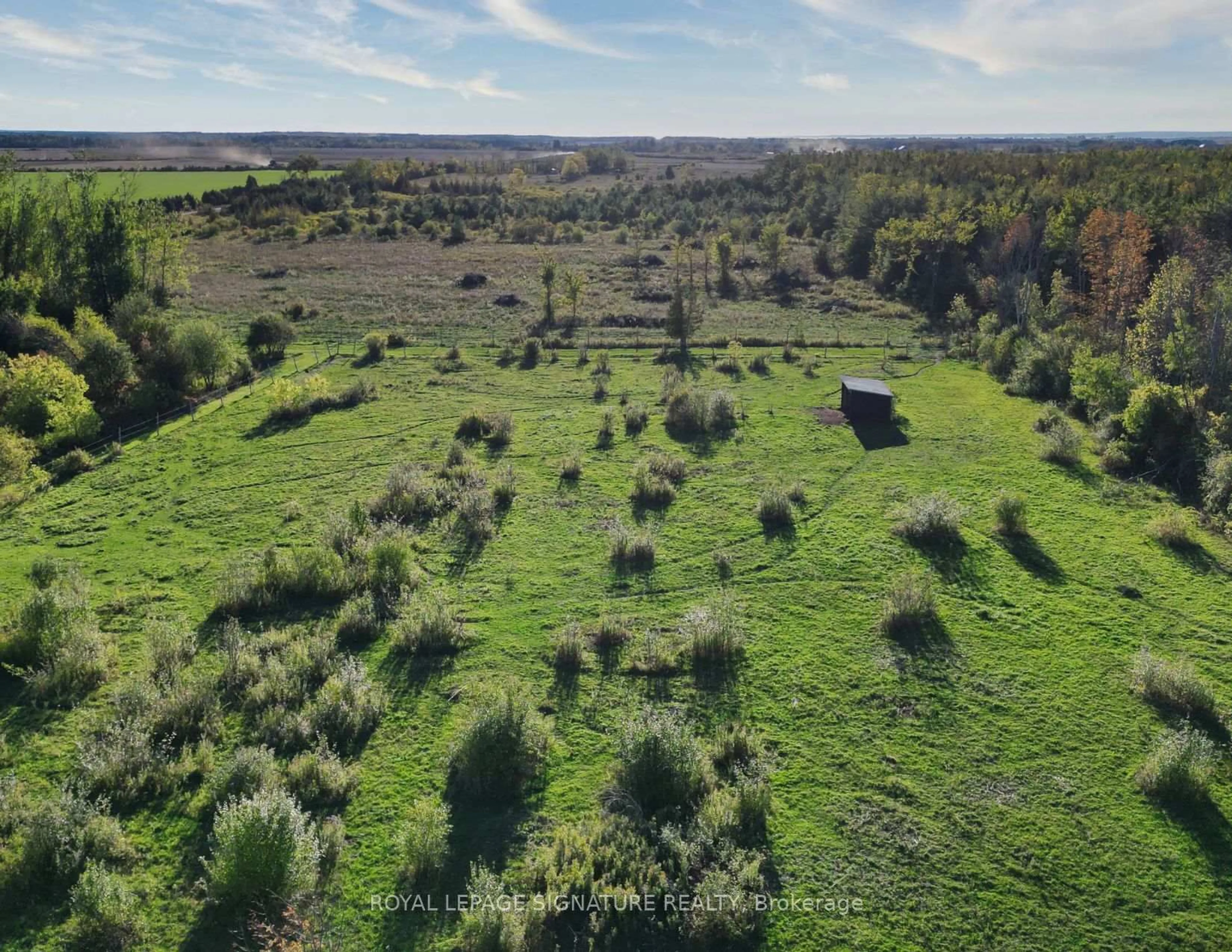 A pic from outside/outdoor area/front of a property/back of a property/a pic from drone, forest/trees view for 1152 Concession Rd, Ramara Ontario L0K 1B0