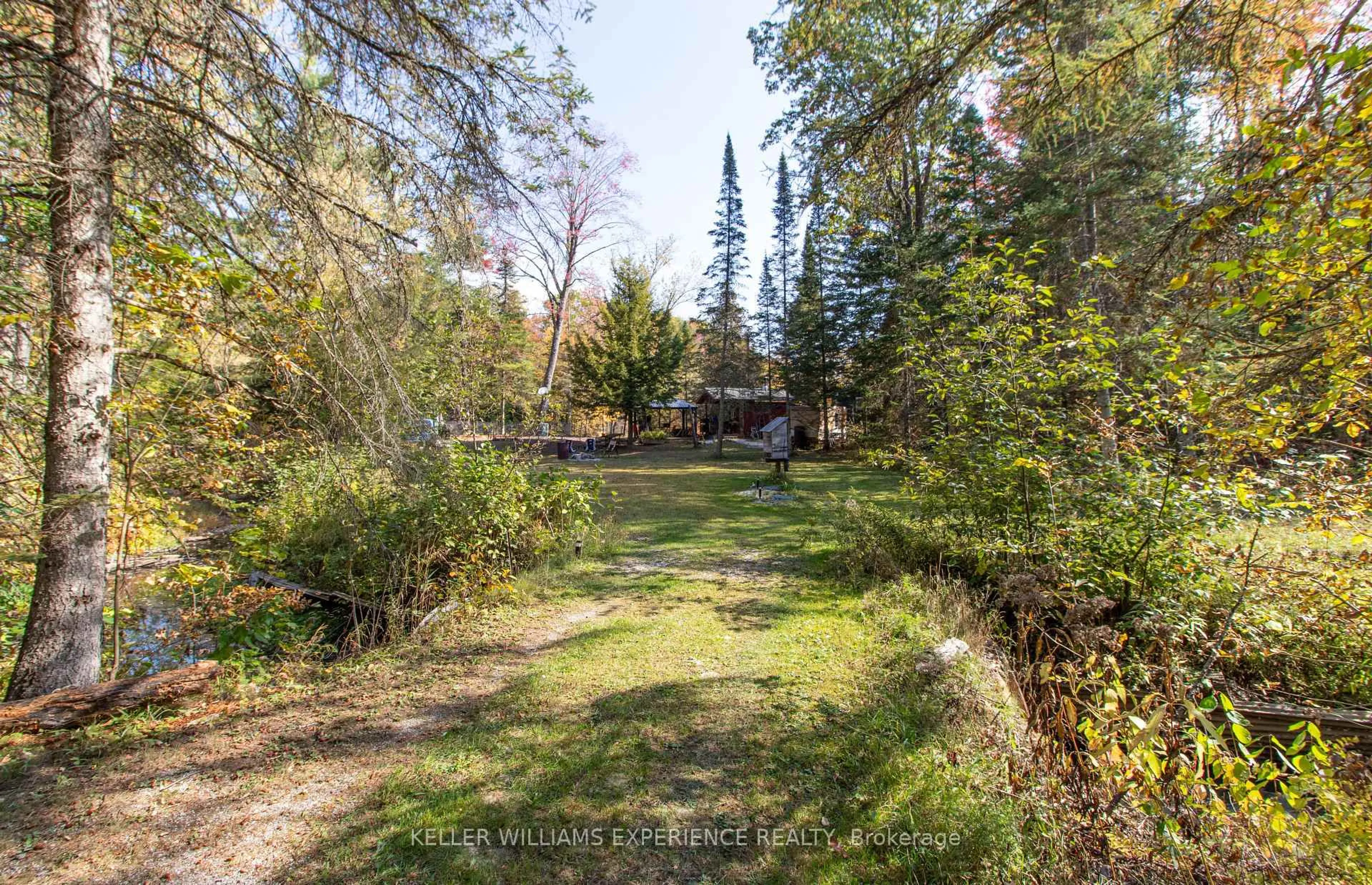 A pic from outside/outdoor area/front of a property/back of a property/a pic from drone, forest/trees view for 6519 Pioneer Village Lane, Ramara Ontario L0K 1W0