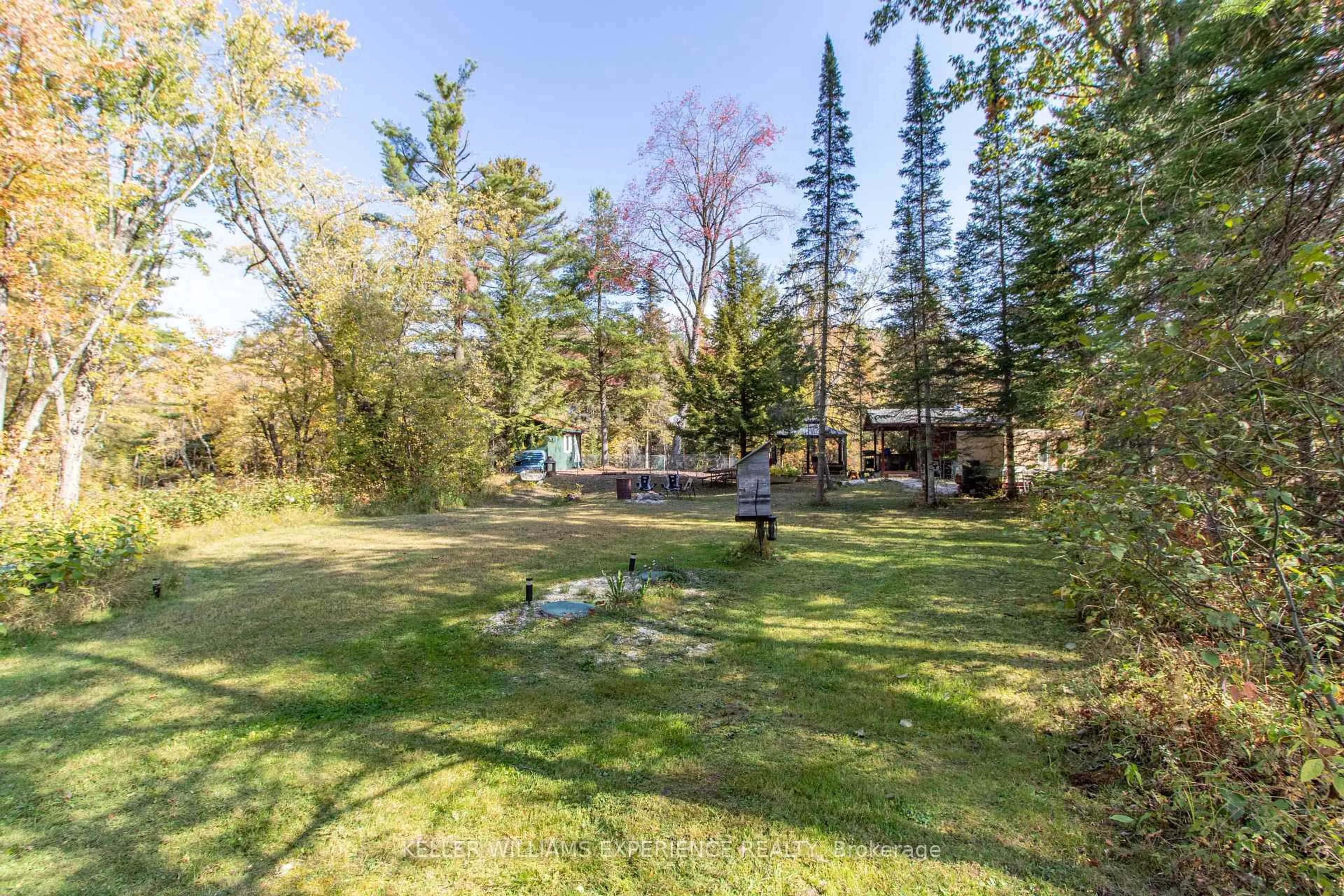 A pic from outside/outdoor area/front of a property/back of a property/a pic from drone, forest/trees view for 6519 Pioneer Village Lane, Ramara Ontario L0K 1W0