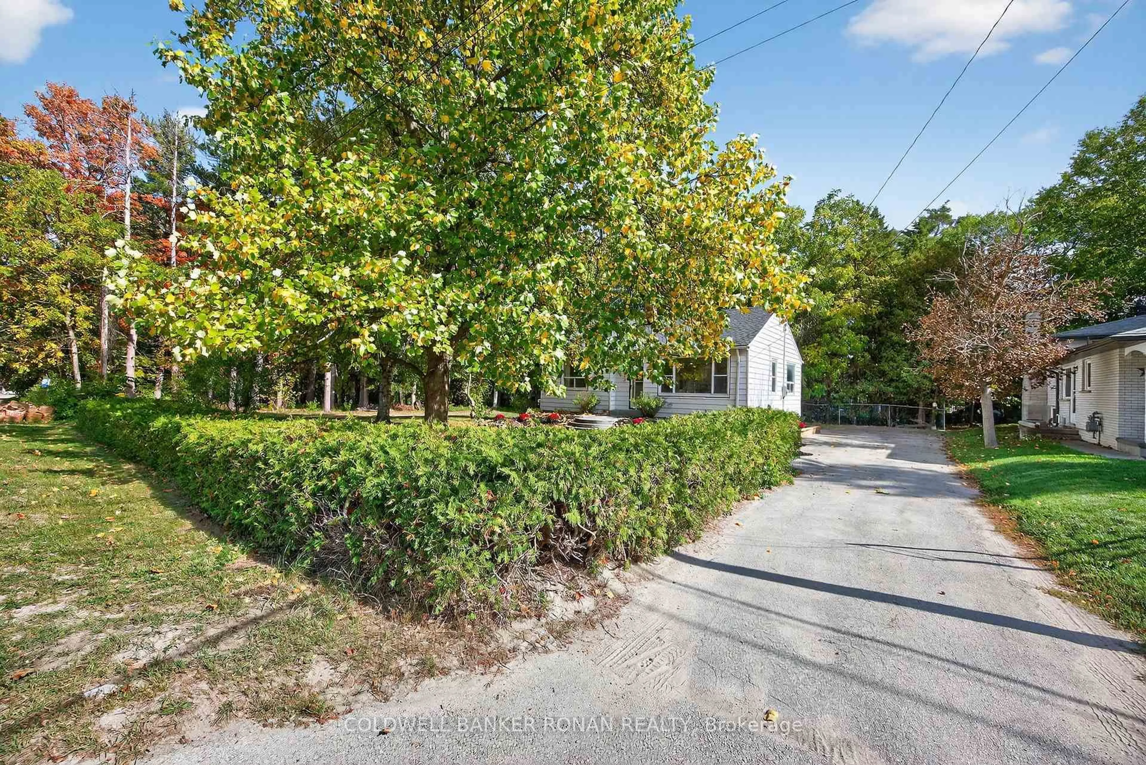 A pic from outside/outdoor area/front of a property/back of a property/a pic from drone, street for 223 Louisa St, Clearview Ontario L0M 1S0