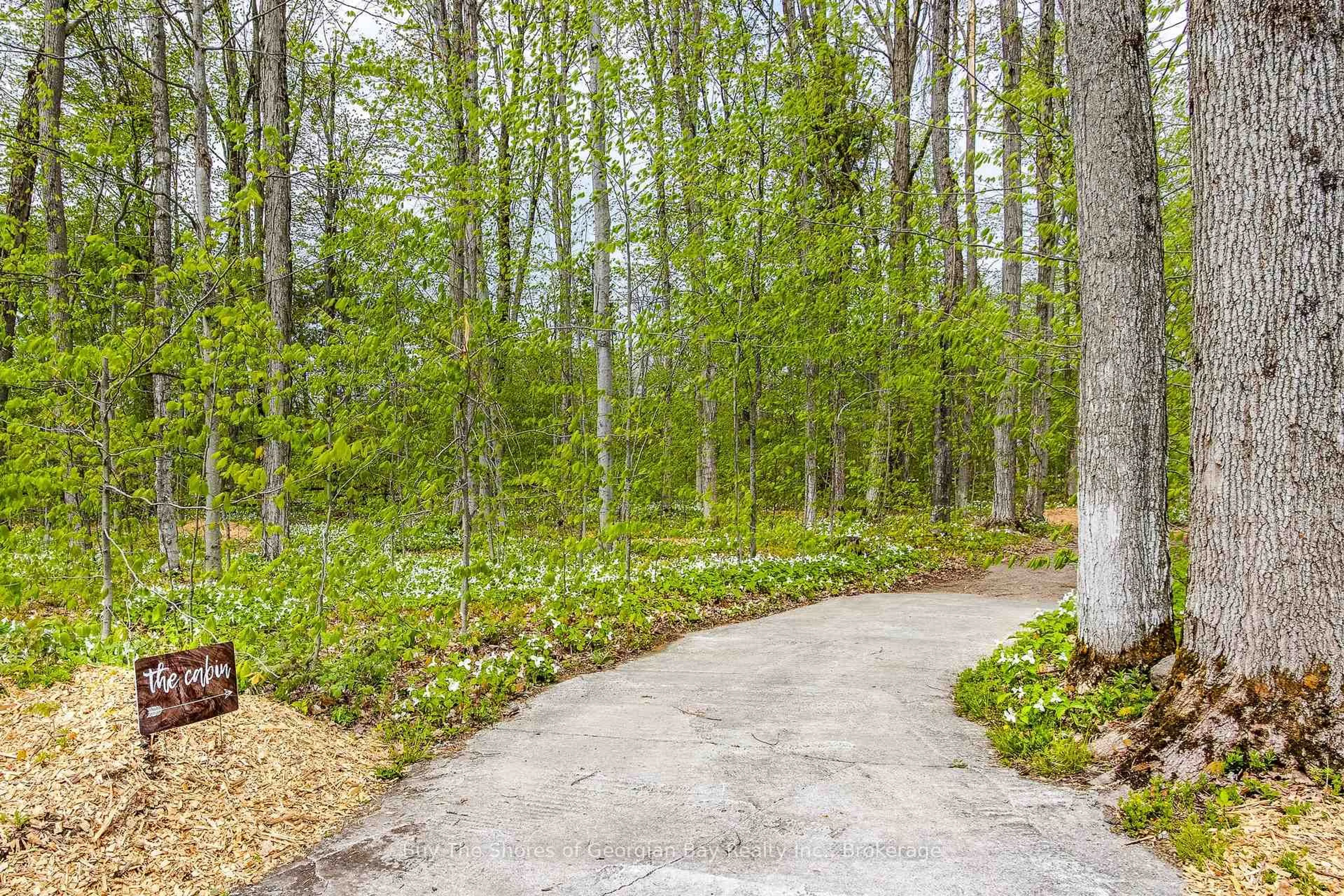Patio, forest/trees view for 691 Mount St. Louis Rd, Oro-Medonte Ontario L0L 1V0