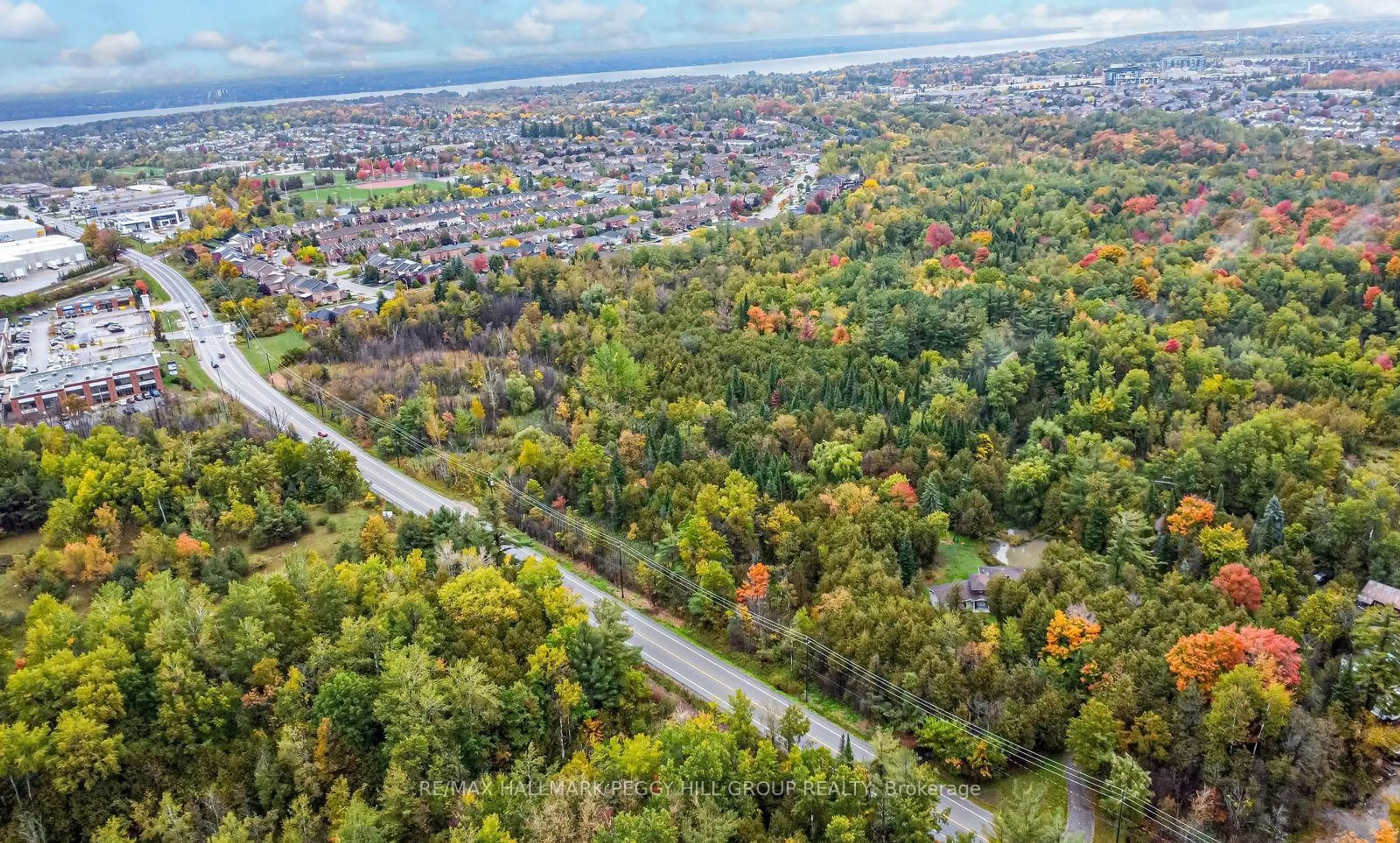 A pic from outside/outdoor area/front of a property/back of a property/a pic from drone, forest/trees view for 537 Huronia Rd, Barrie Ontario L4N 8X3