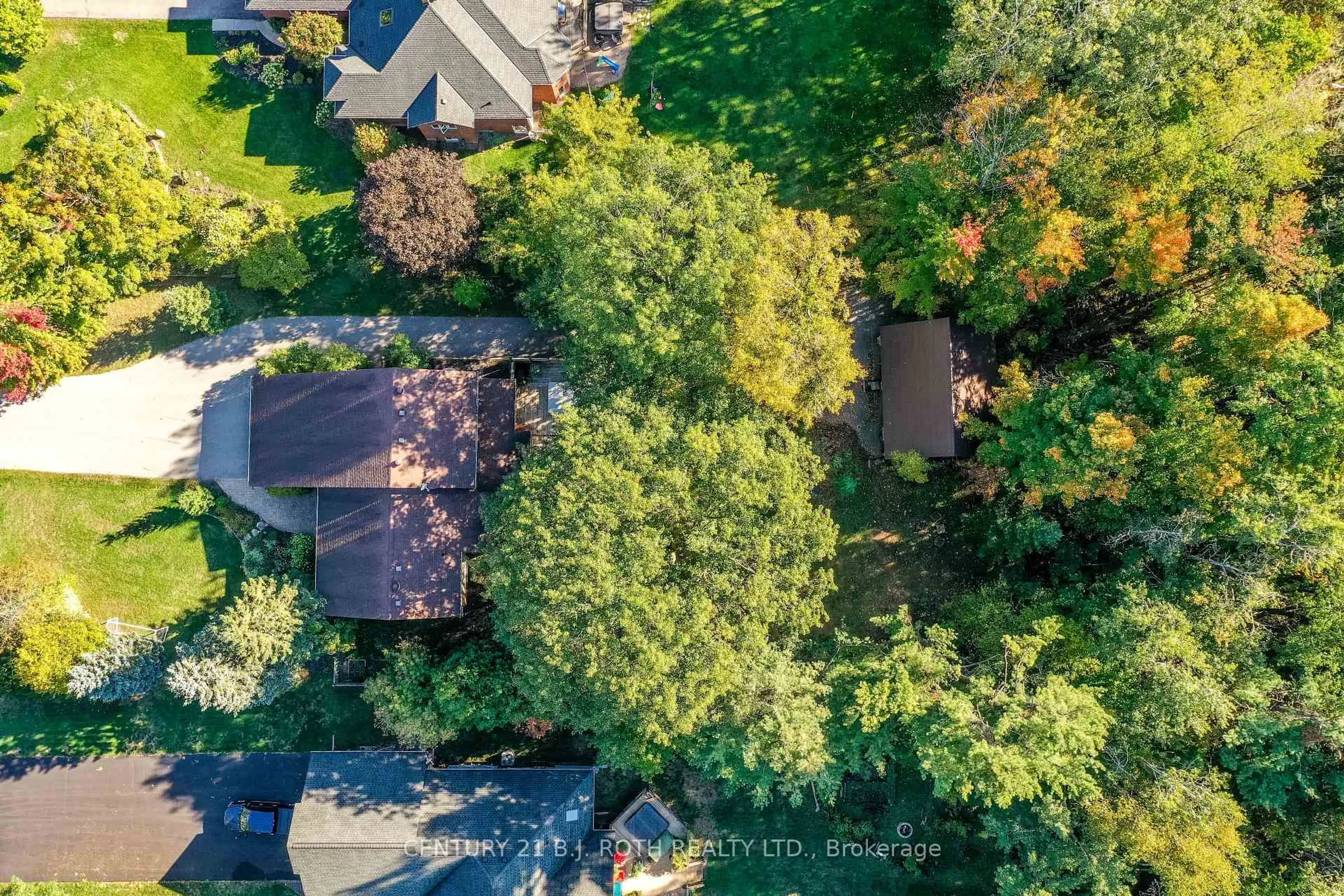 A pic from outside/outdoor area/front of a property/back of a property/a pic from drone, forest/trees view for 39 Jodies Lane, Springwater Ontario L9X 0M4