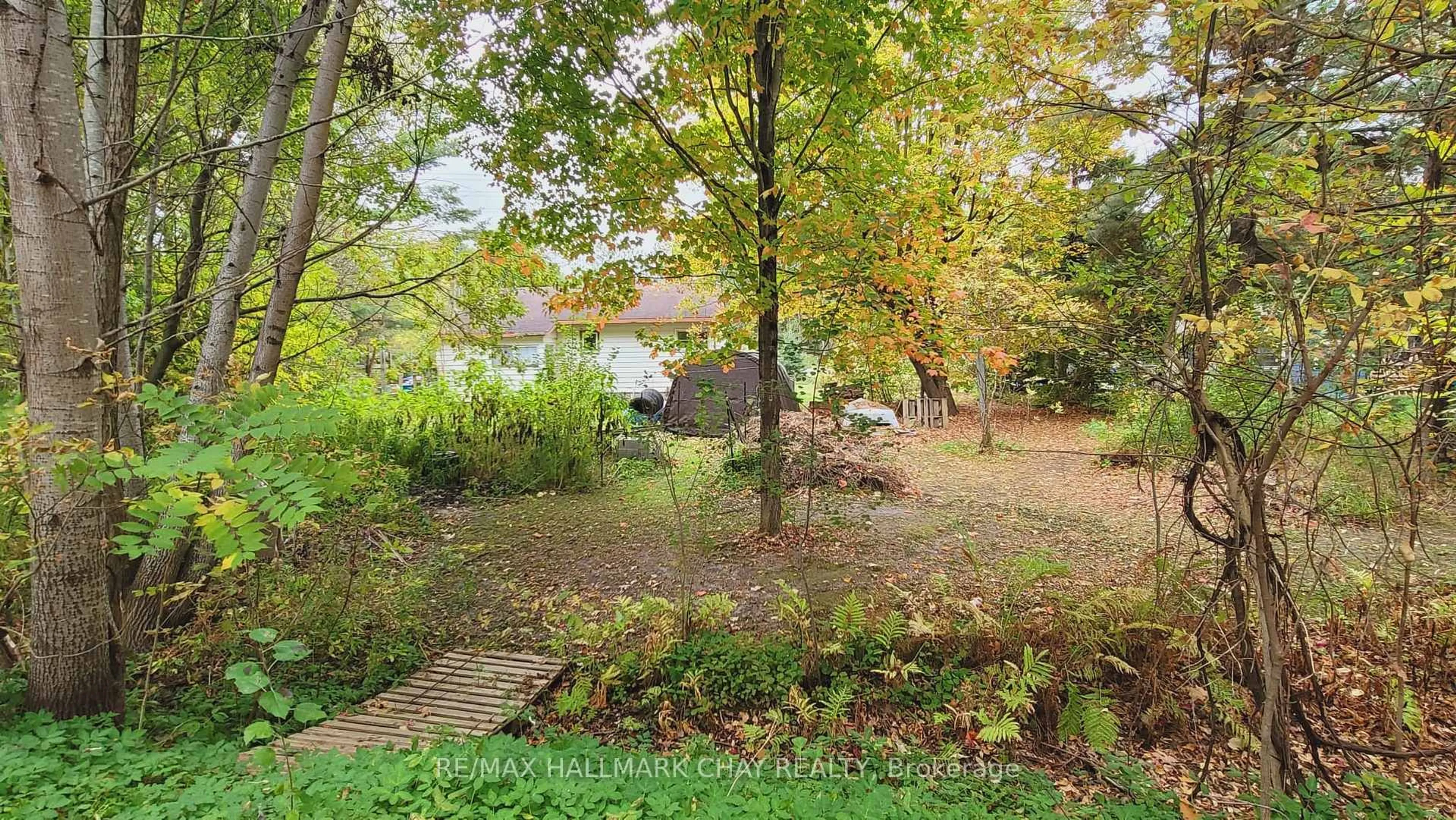 A pic from outside/outdoor area/front of a property/back of a property/a pic from drone, forest/trees view for 14189 12 Highway, Tay Ontario L0K 2C0