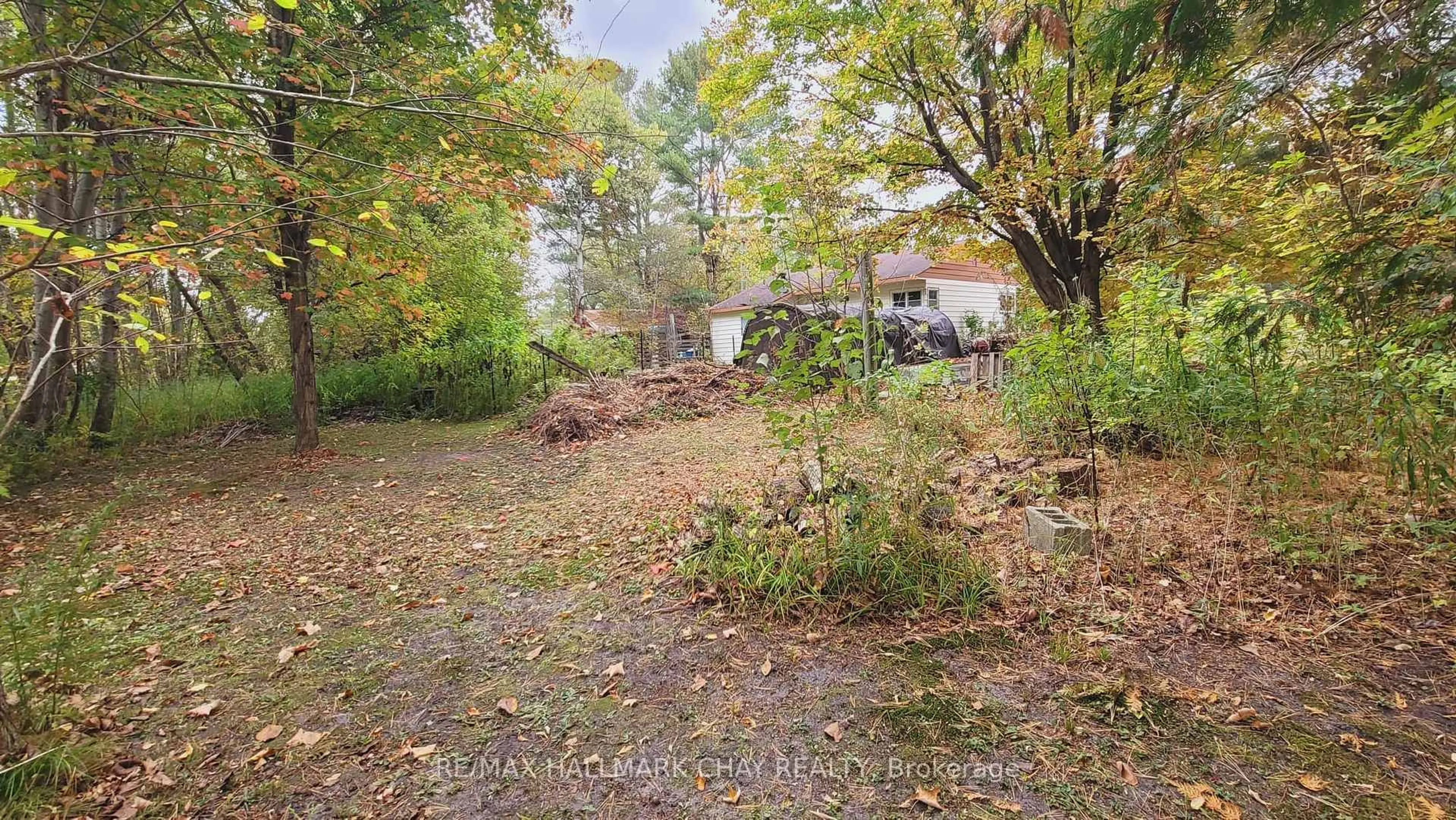 A pic from outside/outdoor area/front of a property/back of a property/a pic from drone, forest/trees view for 14189 12 Highway, Tay Ontario L0K 2C0