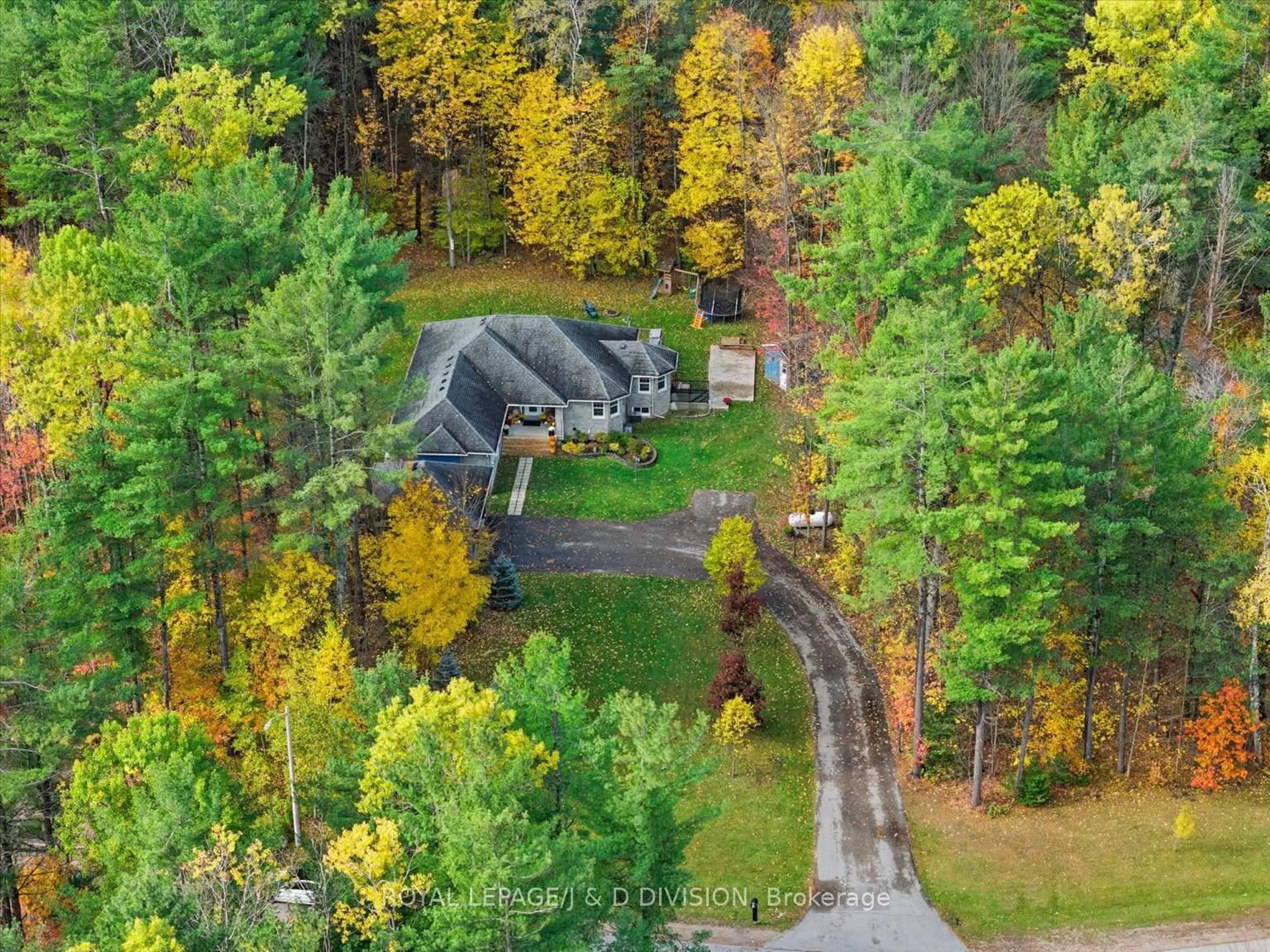 A pic from outside/outdoor area/front of a property/back of a property/a pic from drone, forest/trees view for 2925 Pinecone Tr, Severn Ontario L0K 2B0