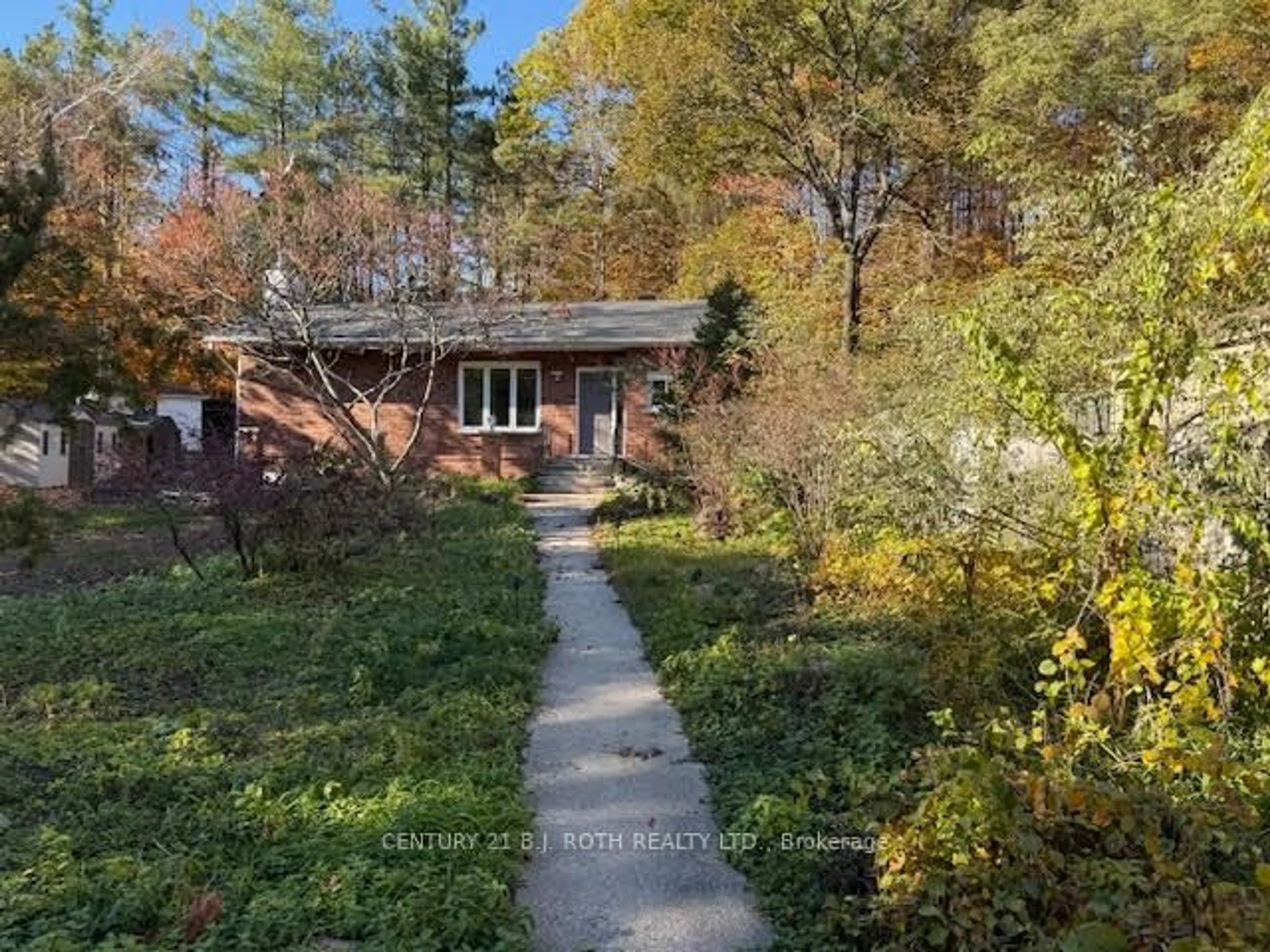 A pic from outside/outdoor area/front of a property/back of a property/a pic from drone, forest/trees view for 86 Doran Rd, Springwater Ontario L0L 1X0