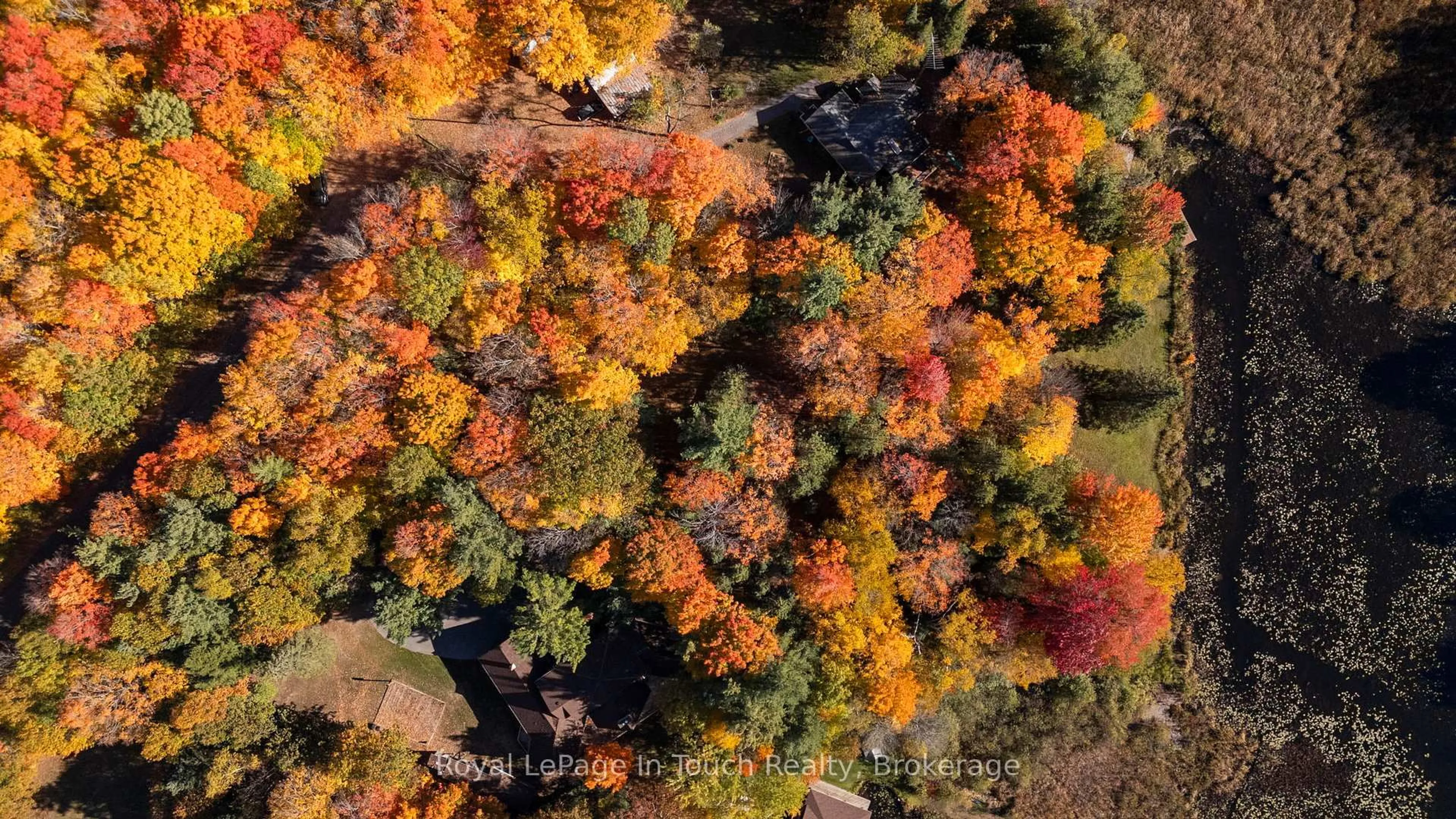 A pic from outside/outdoor area/front of a property/back of a property/a pic from drone, forest/trees view for 1980 South Riverside Dr, Severn Ontario L0K 1E0