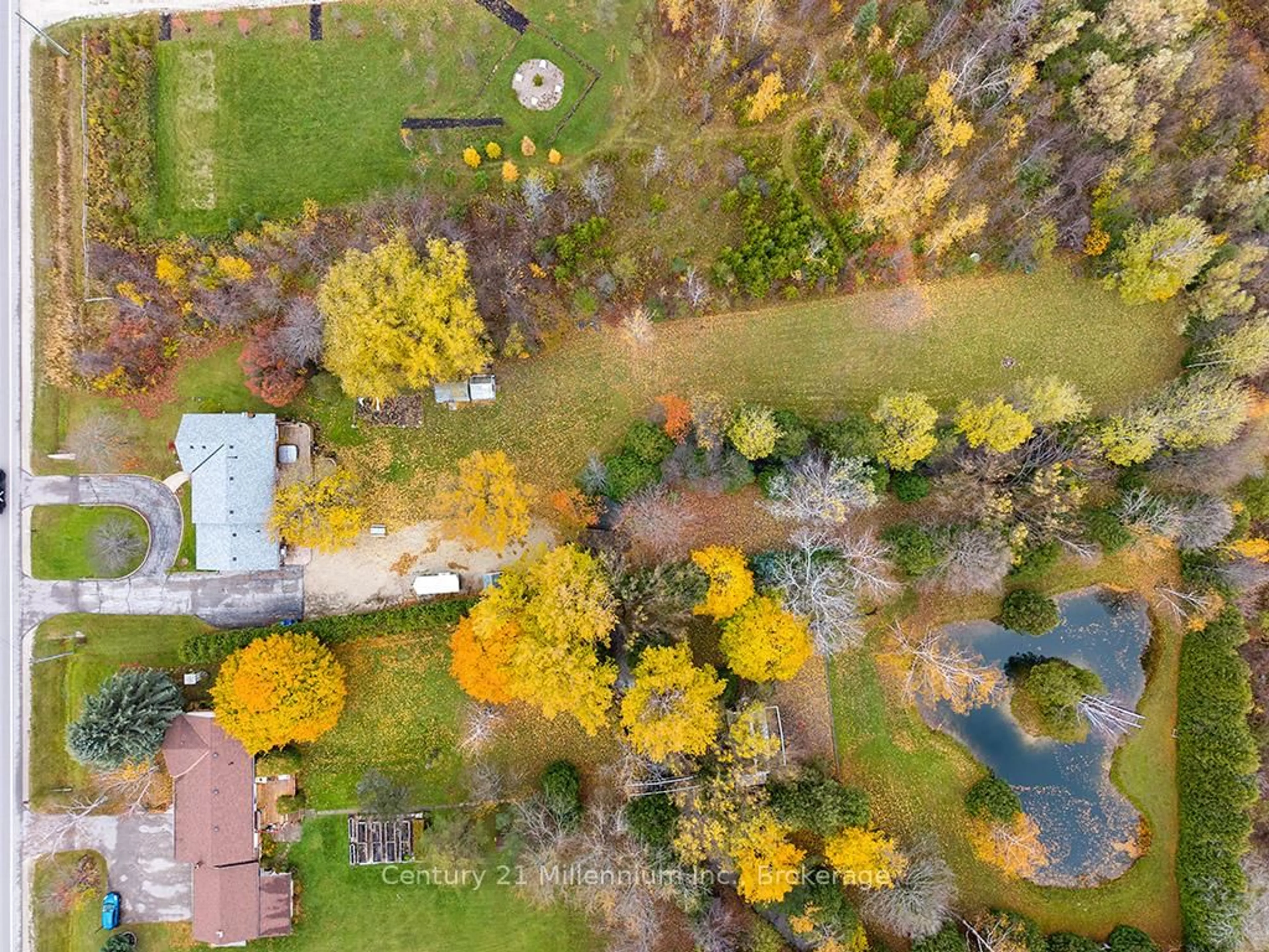 A pic from outside/outdoor area/front of a property/back of a property/a pic from drone, forest/trees view for 795835 Grey 19 Rd, Collingwood Ontario L9Y 3Y9