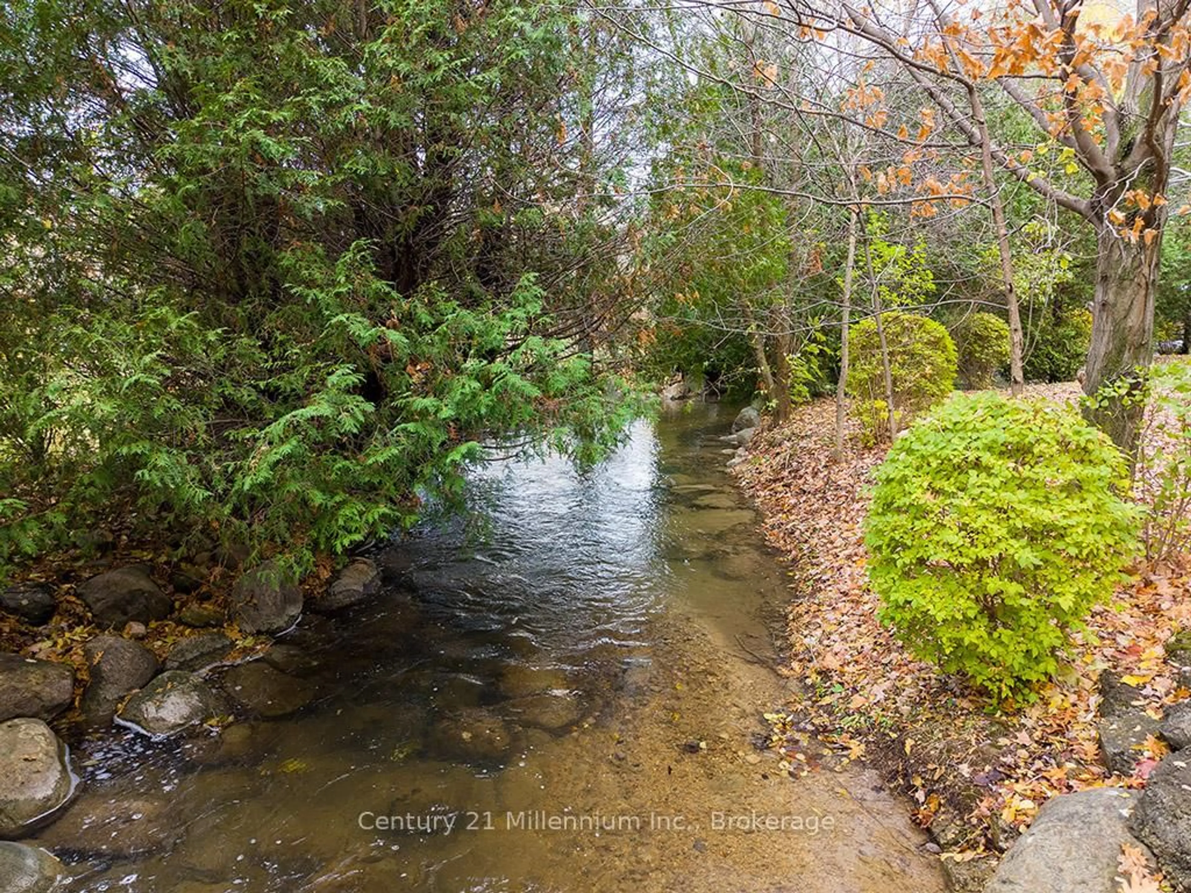 Blurry image for 795835 Grey 19 Rd, Collingwood Ontario L9Y 3Y9