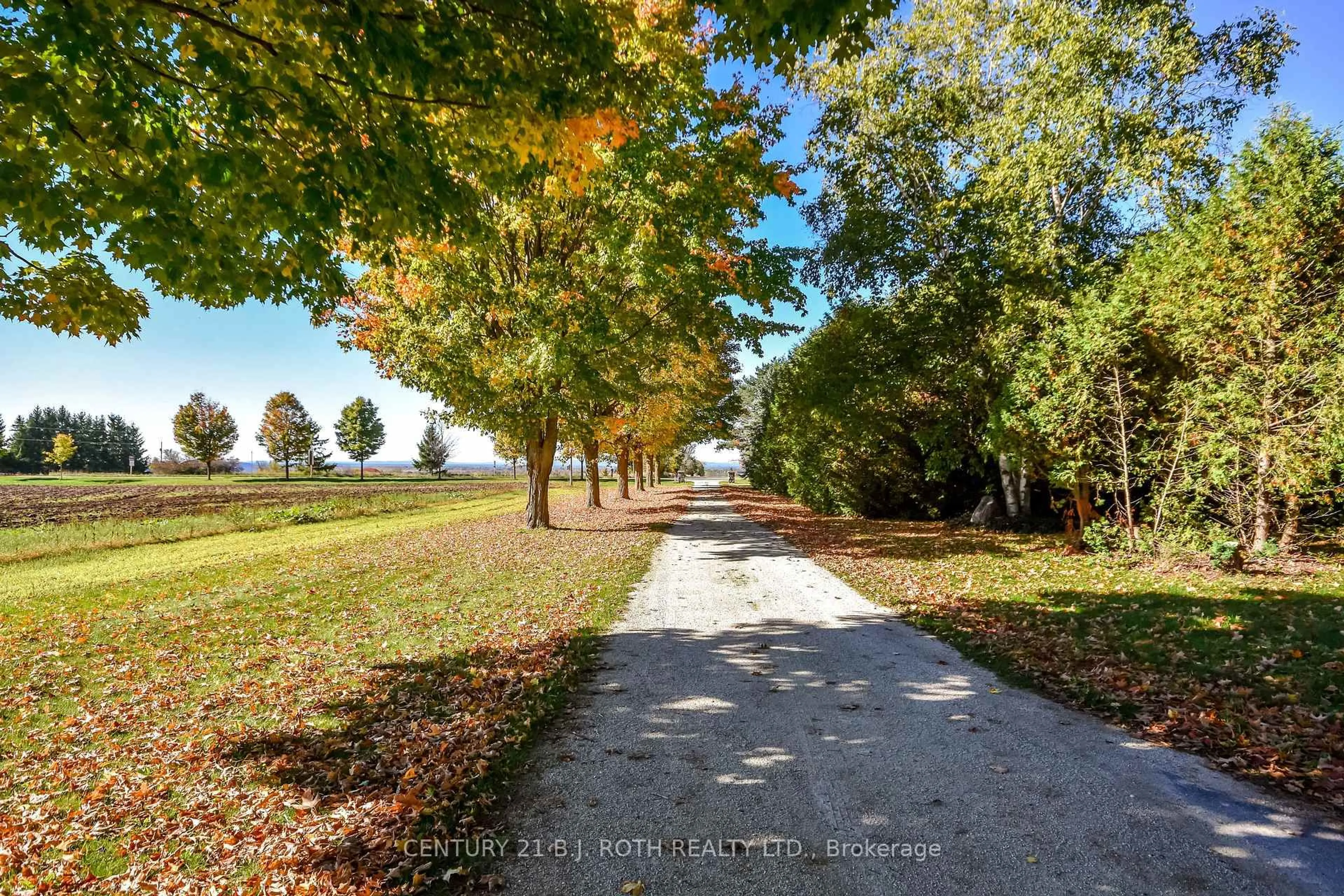 A pic from outside/outdoor area/front of a property/back of a property/a pic from drone, forest/trees view for 191 George St, Midland Ontario L4R 2W3
