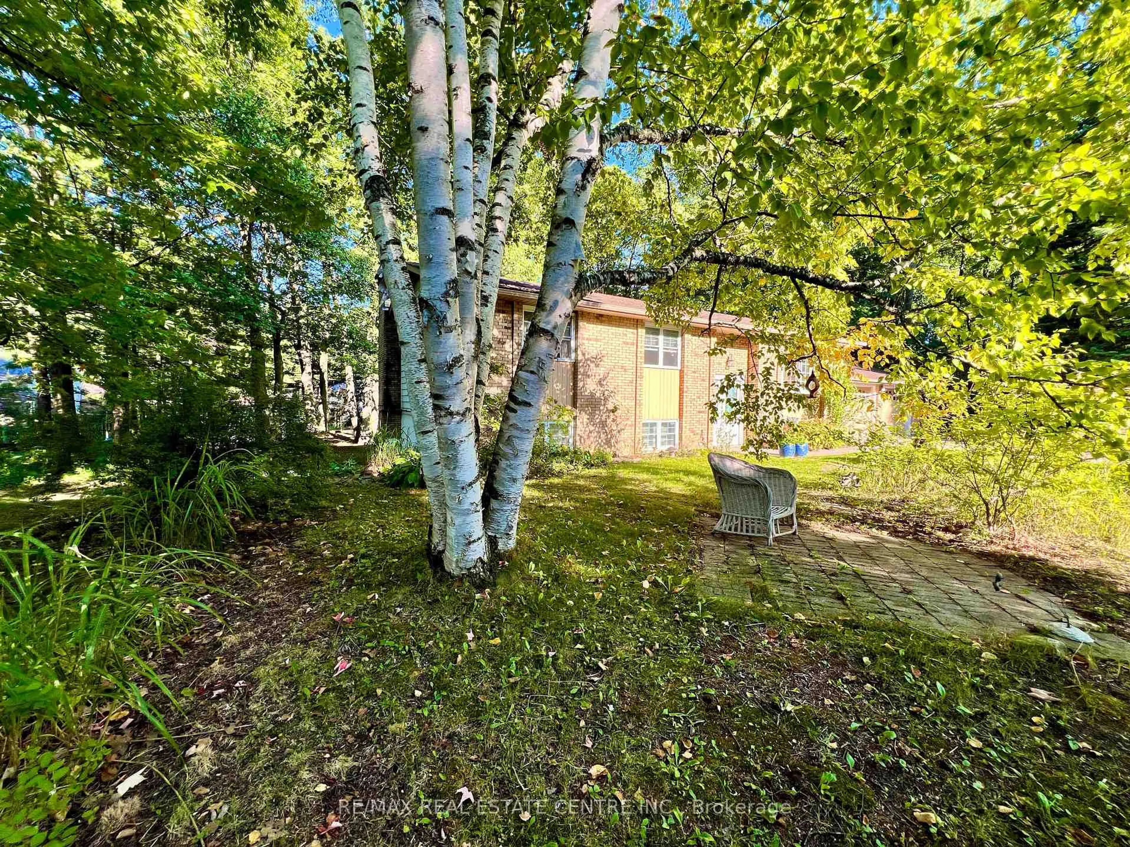 A pic from outside/outdoor area/front of a property/back of a property/a pic from drone, forest/trees view for 135 CHRISTOPHER Ave, Wasaga Beach Ontario L9Z 1S4