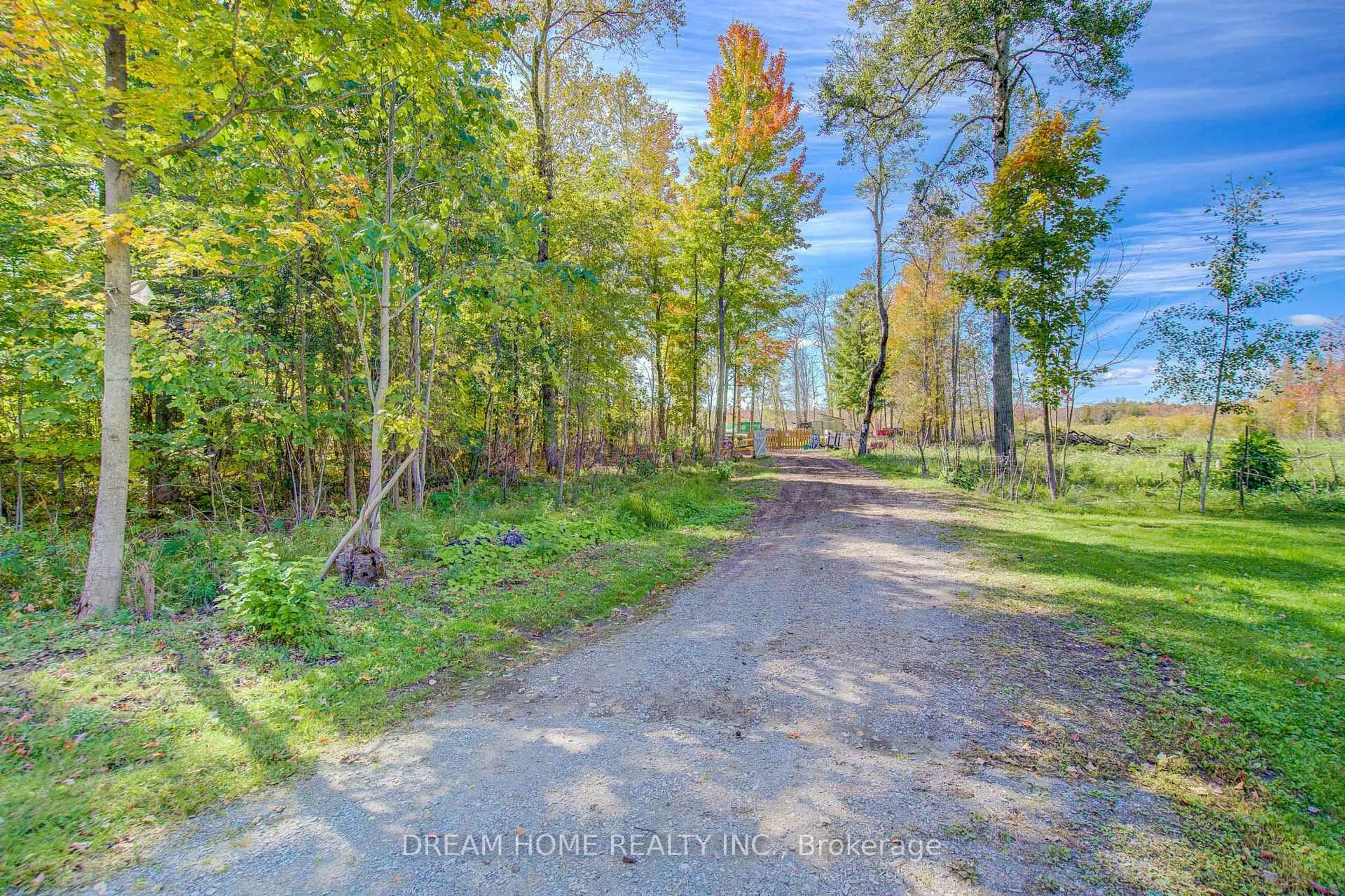 A pic from outside/outdoor area/front of a property/back of a property/a pic from drone, forest/trees view for 1119 Sajnovic Pl, Ramara Ontario L3V 0L8
