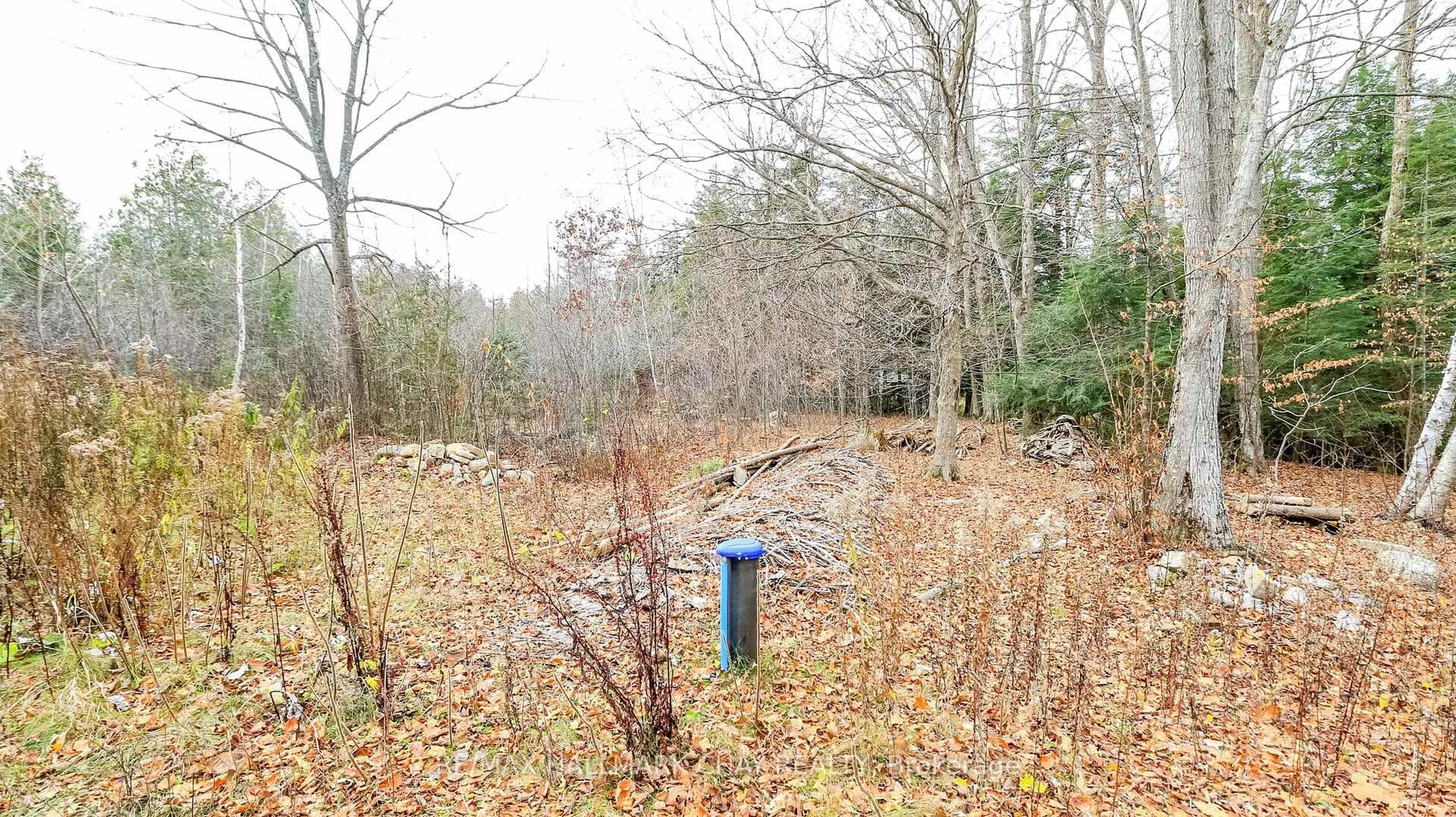 A pic from outside/outdoor area/front of a property/back of a property/a pic from drone, forest/trees view for 2576 Champlain Rd, Tiny Ontario L9M 0C9