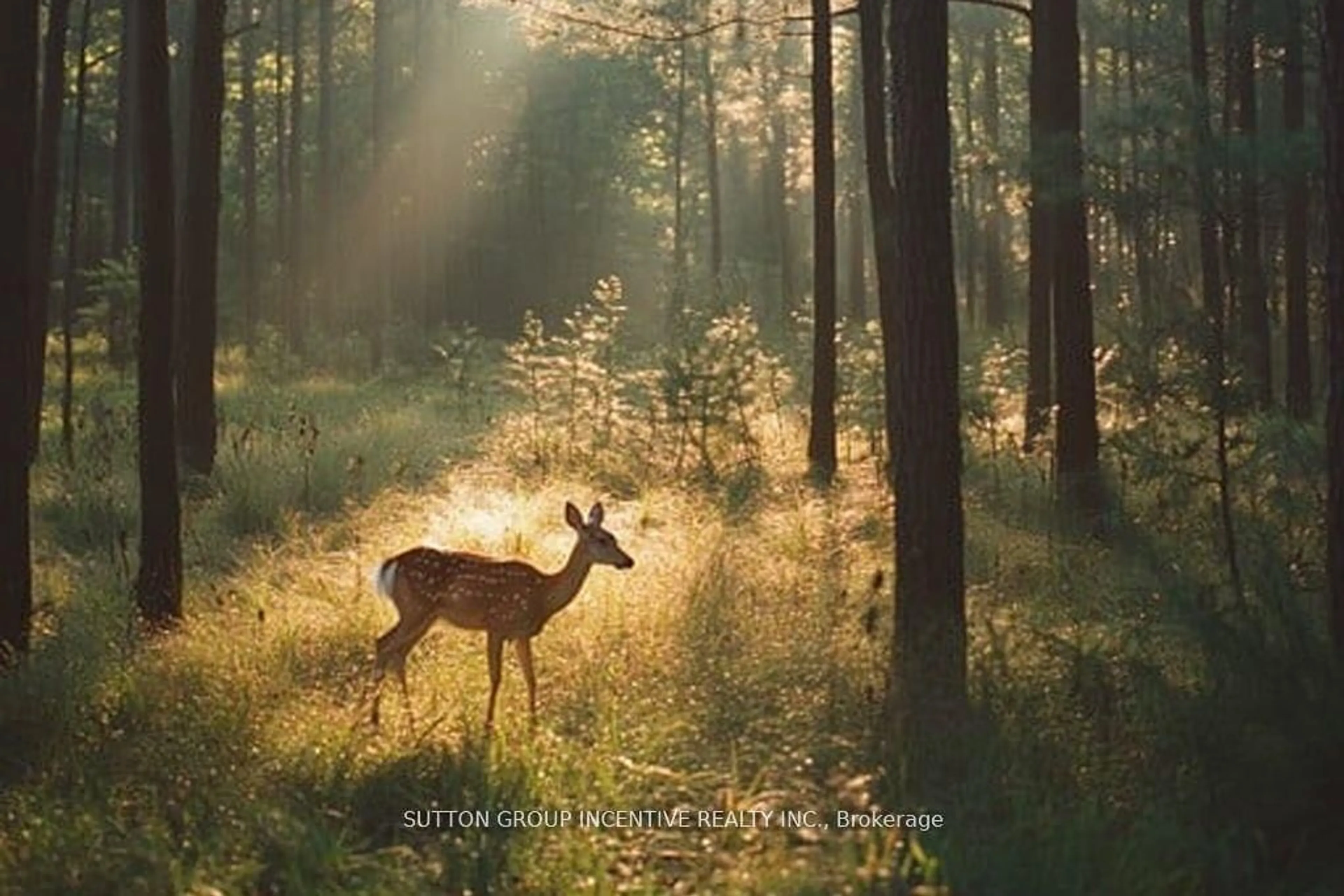 Blurry image for 13895 County Rd 27 Rd, Springwater Ontario L0L 2K0