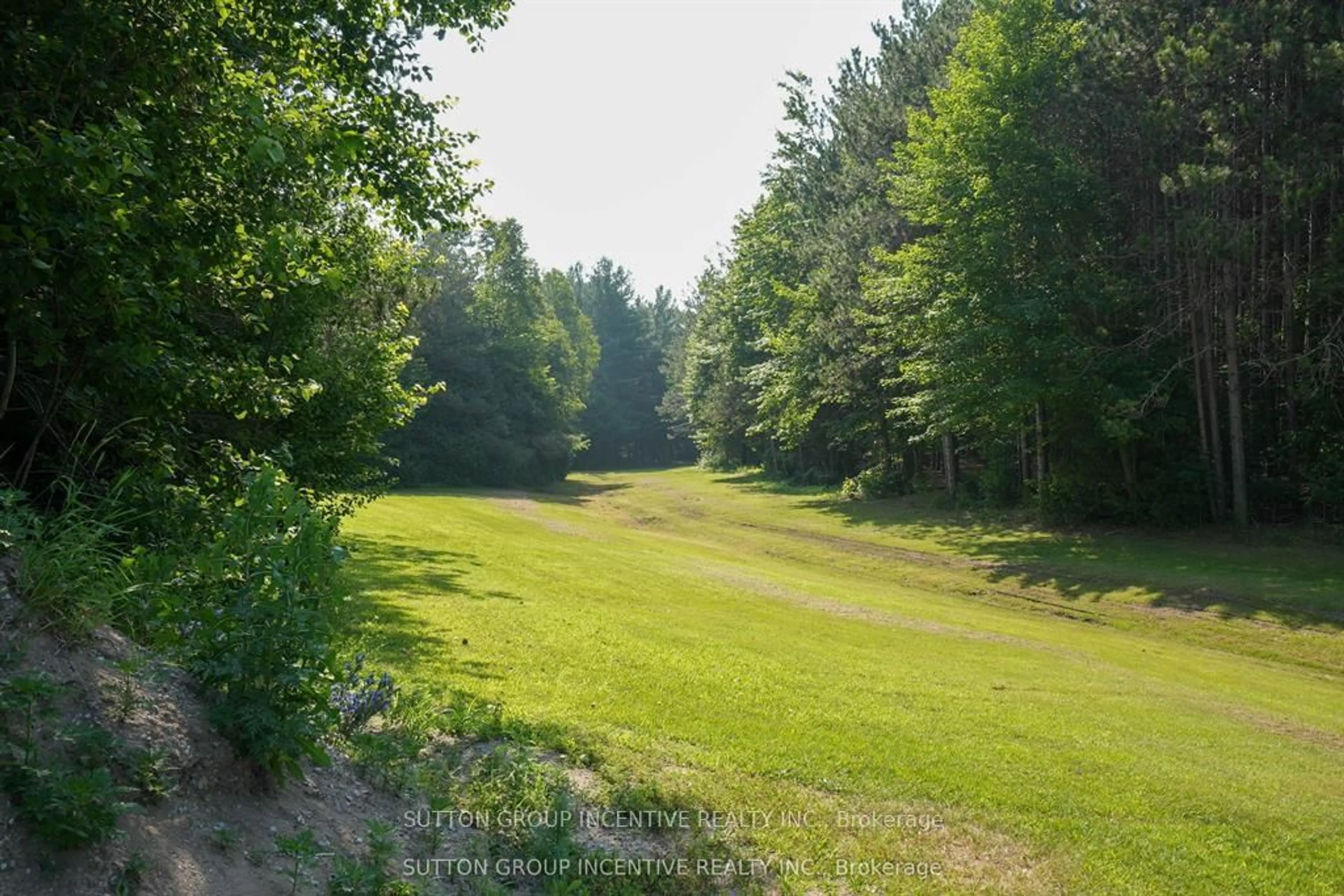 A pic from outside/outdoor area/front of a property/back of a property/a pic from drone, forest/trees view for 13895 County Rd 27 Rd, Springwater Ontario L0L 2K0