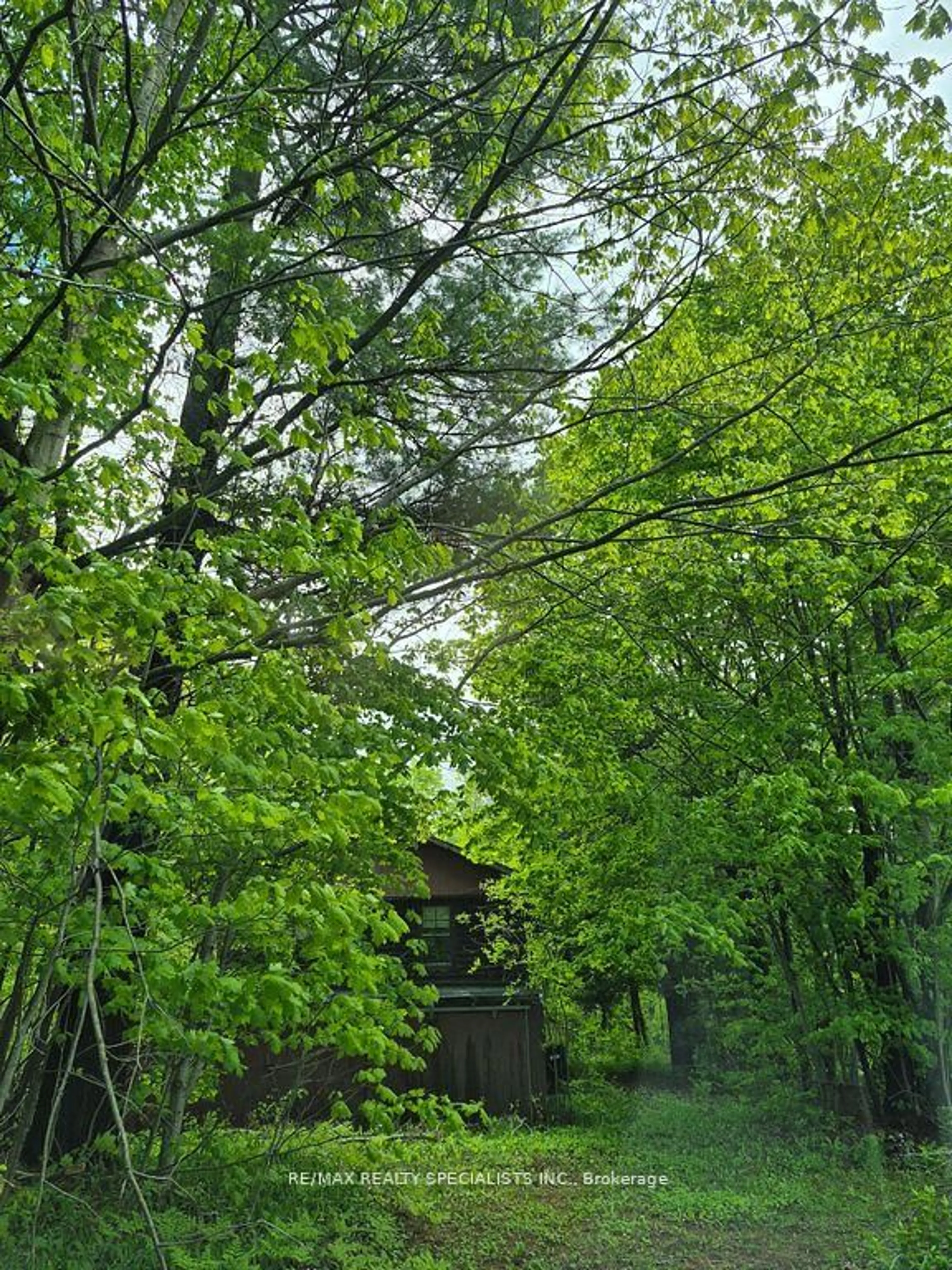 Unknown for 3763 Agnew Rd, Severn Ontario L0K 2B0