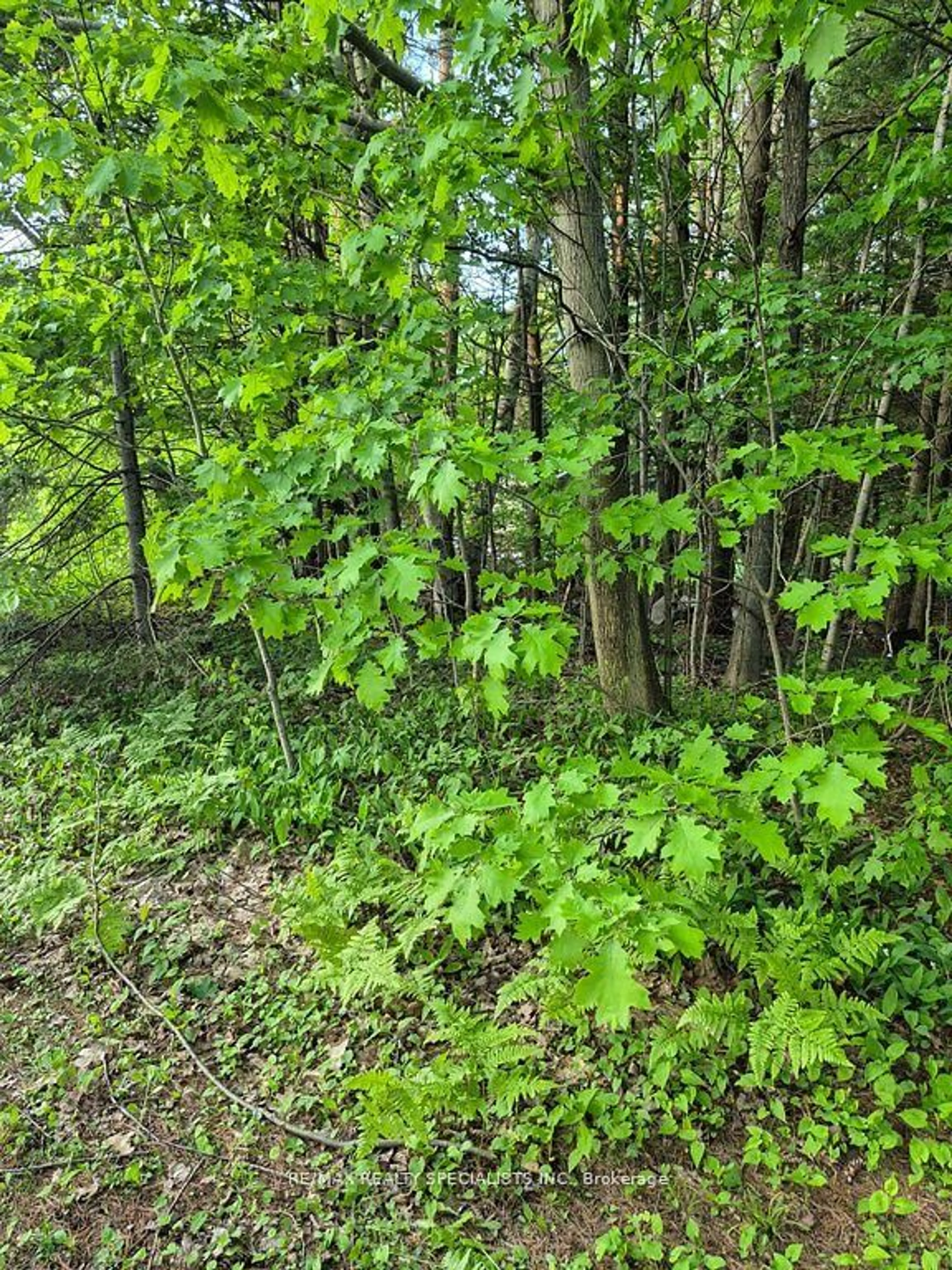 Blurry image for 3763 Agnew Rd, Severn Ontario L0K 2B0