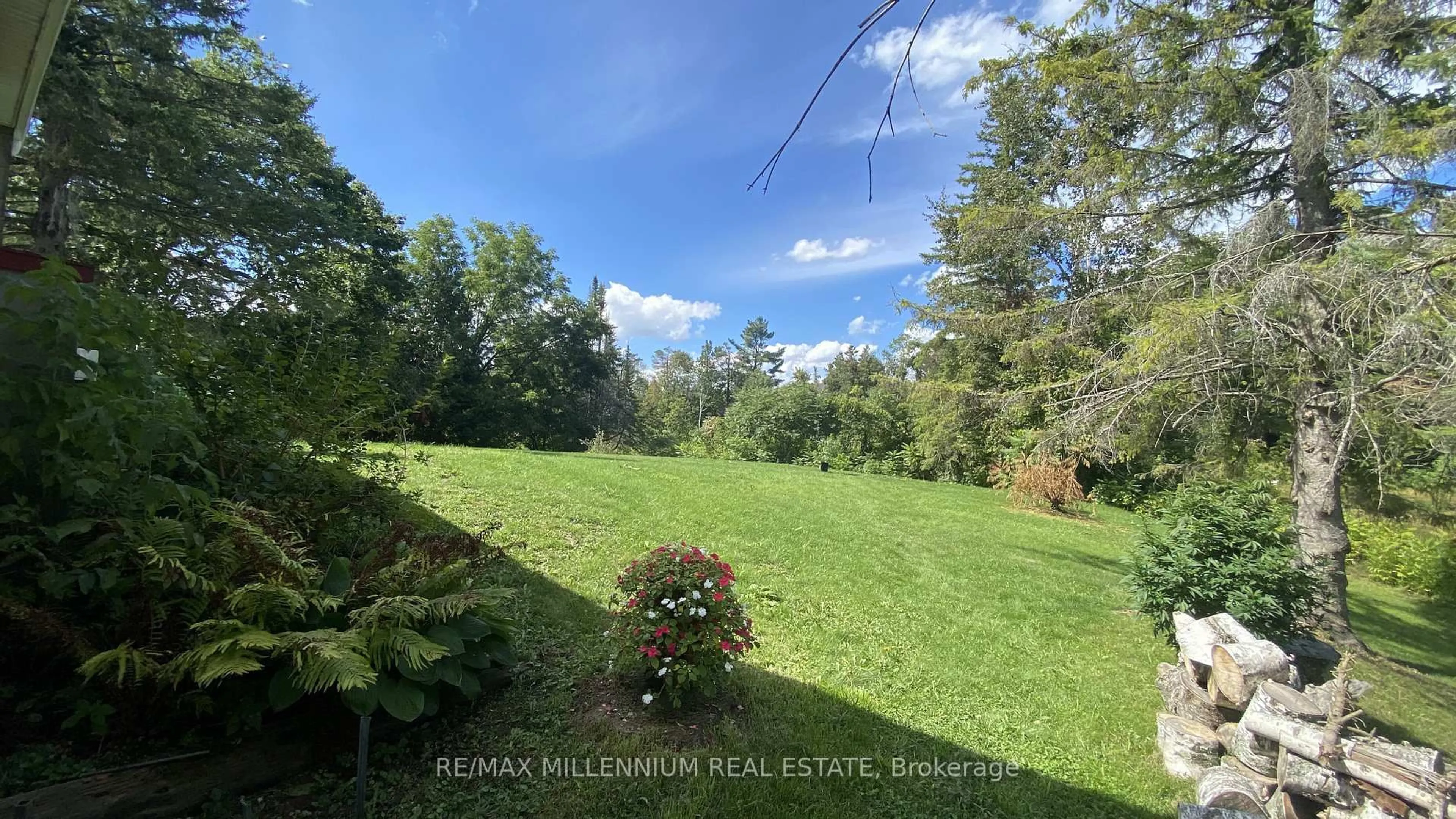 A pic from outside/outdoor area/front of a property/back of a property/a pic from drone, forest/trees view for 3741 Cedar Rapids Dr, Severn Ontario L3V 6H2