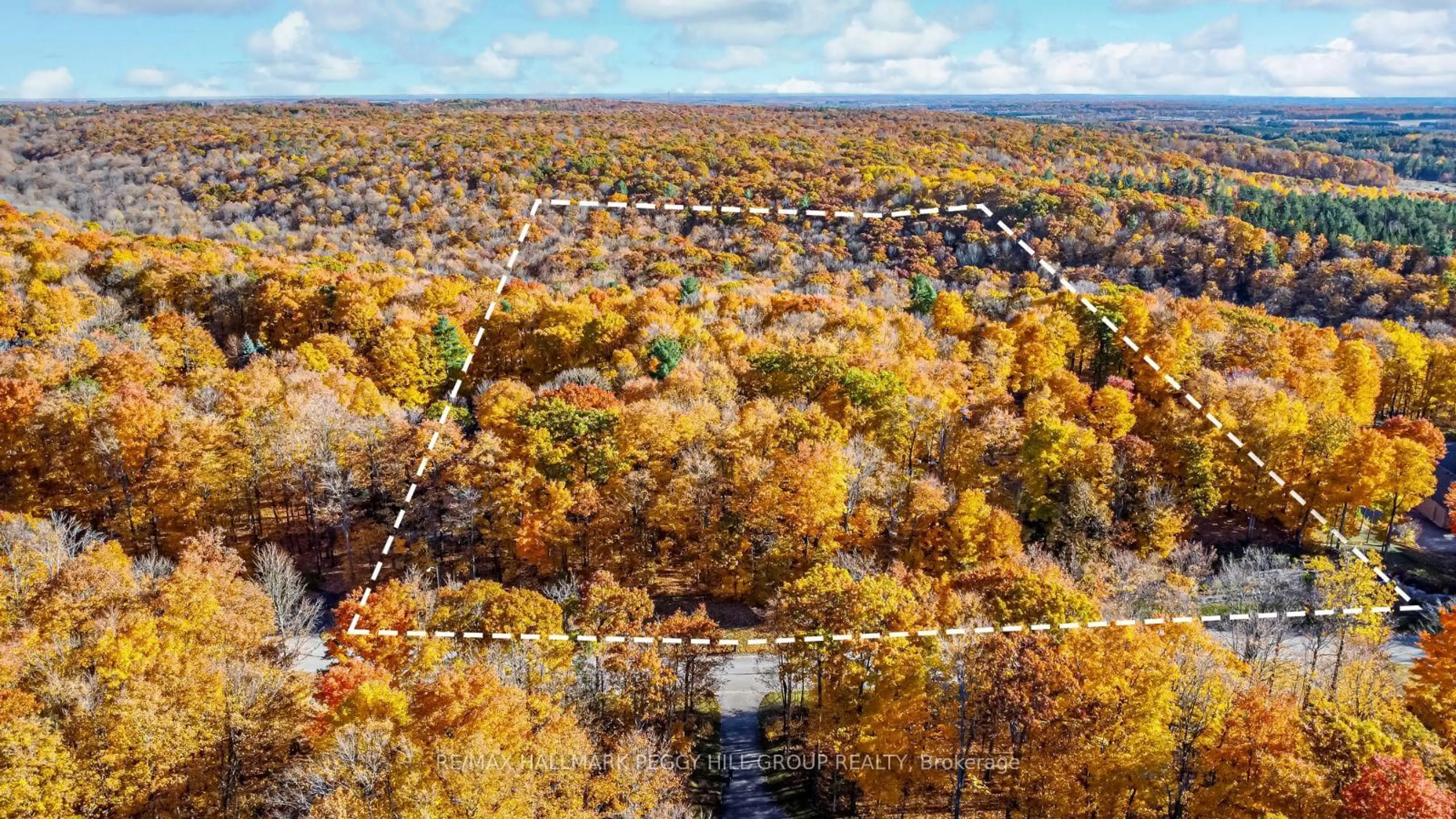 A pic from outside/outdoor area/front of a property/back of a property/a pic from drone, forest/trees view for 17 Maple Ridge Rd, Oro-Medonte Ontario L0L 2L0