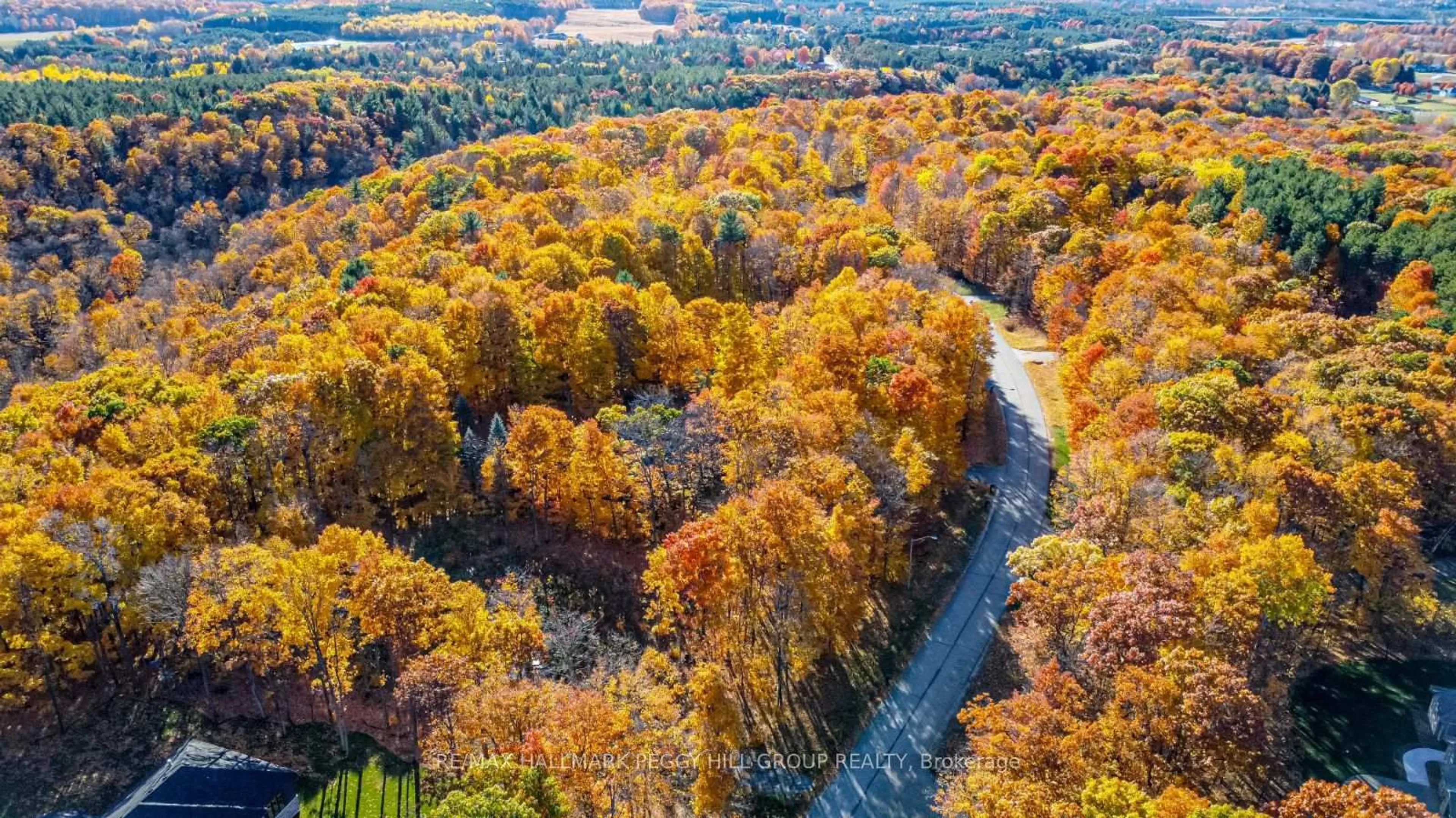 A pic from outside/outdoor area/front of a property/back of a property/a pic from drone, forest/trees view for 17 Maple Ridge Rd, Oro-Medonte Ontario L0L 2L0