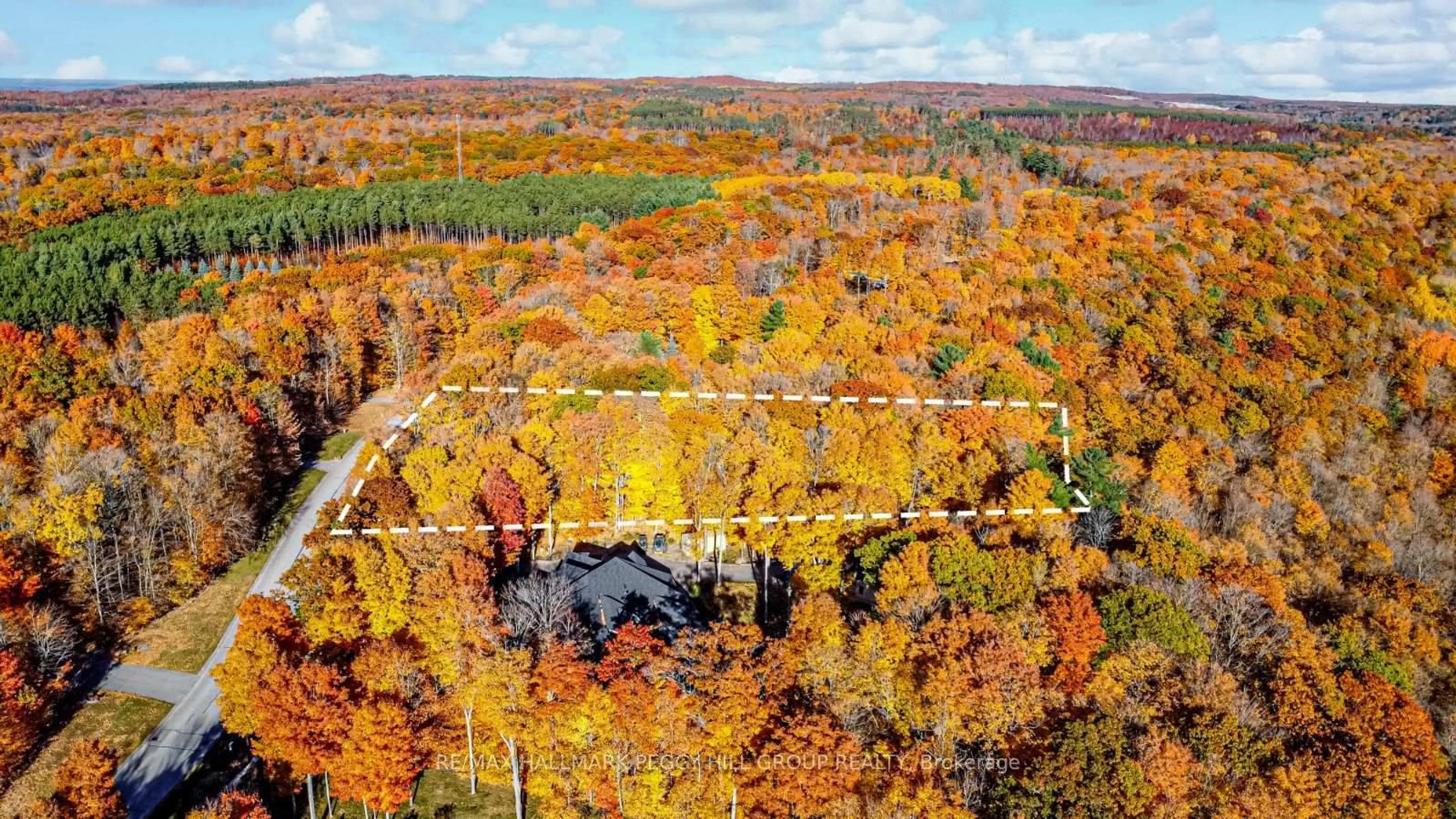 A pic from outside/outdoor area/front of a property/back of a property/a pic from drone, forest/trees view for 17 Maple Ridge Rd, Oro-Medonte Ontario L0L 2L0