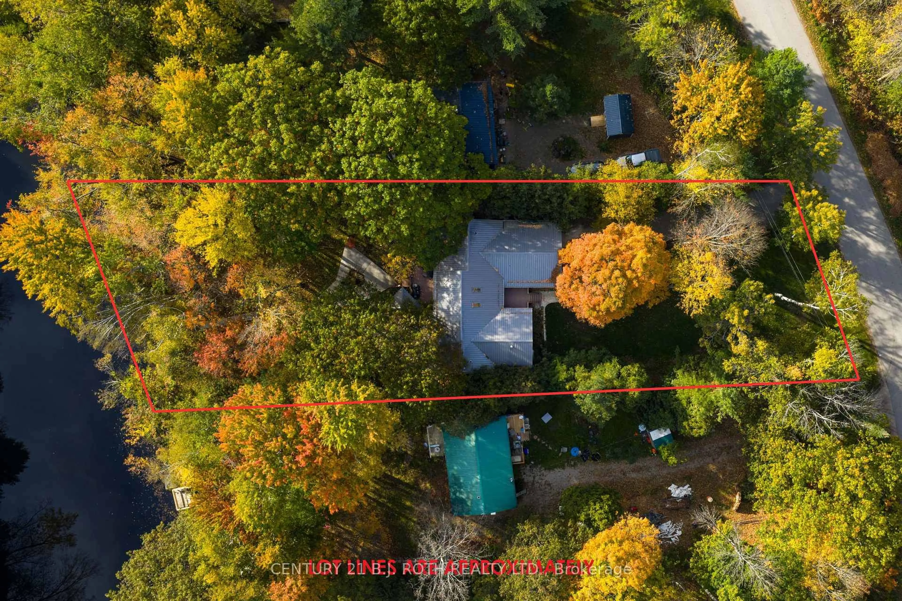 A pic from outside/outdoor area/front of a property/back of a property/a pic from drone, forest/trees view for 7333 Davy Dr, Ramara Ontario L0K 2B0