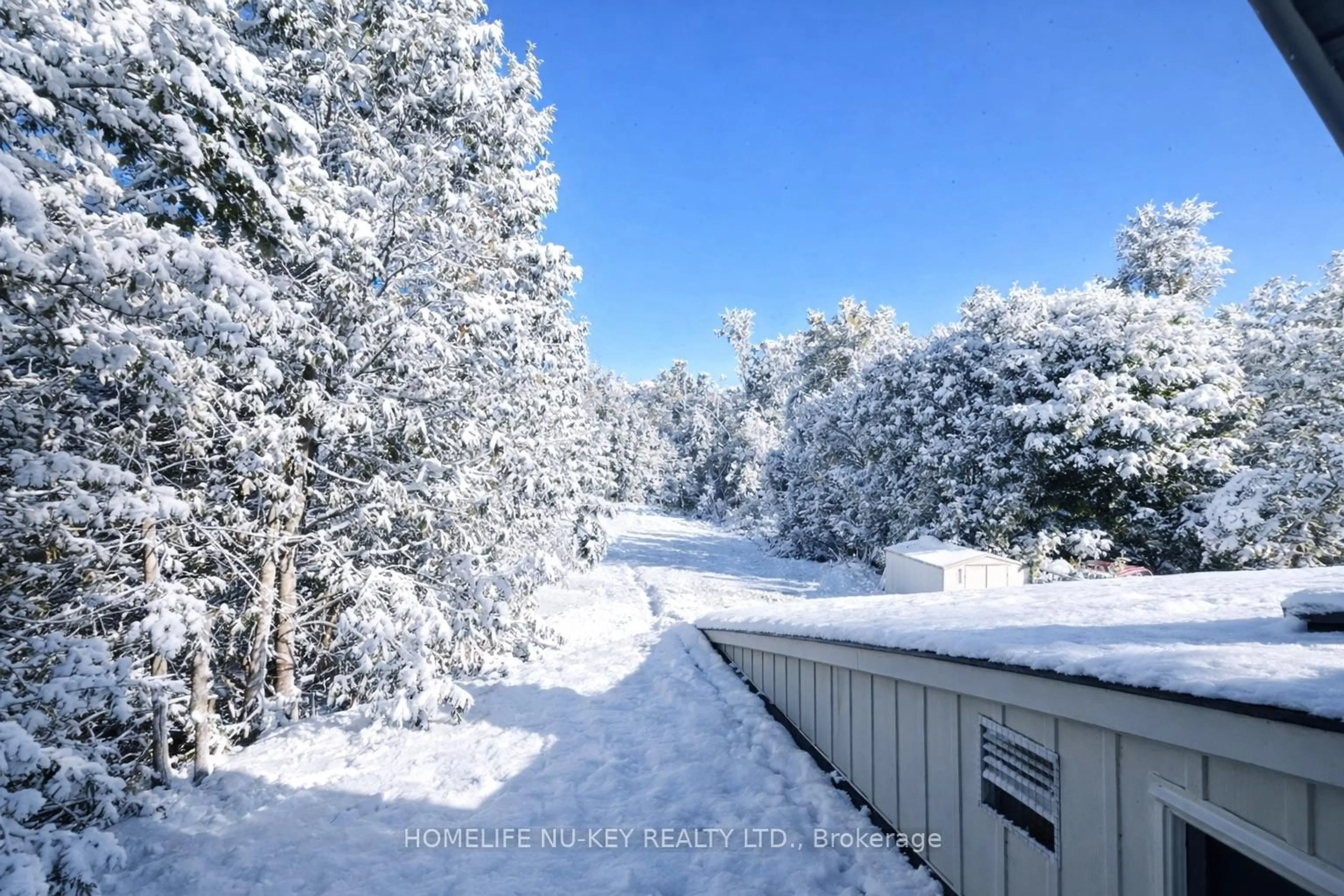 A pic from outside/outdoor area/front of a property/back of a property/a pic from drone, forest/trees view for 246 Mary St, Orillia Ontario L3V 3E6