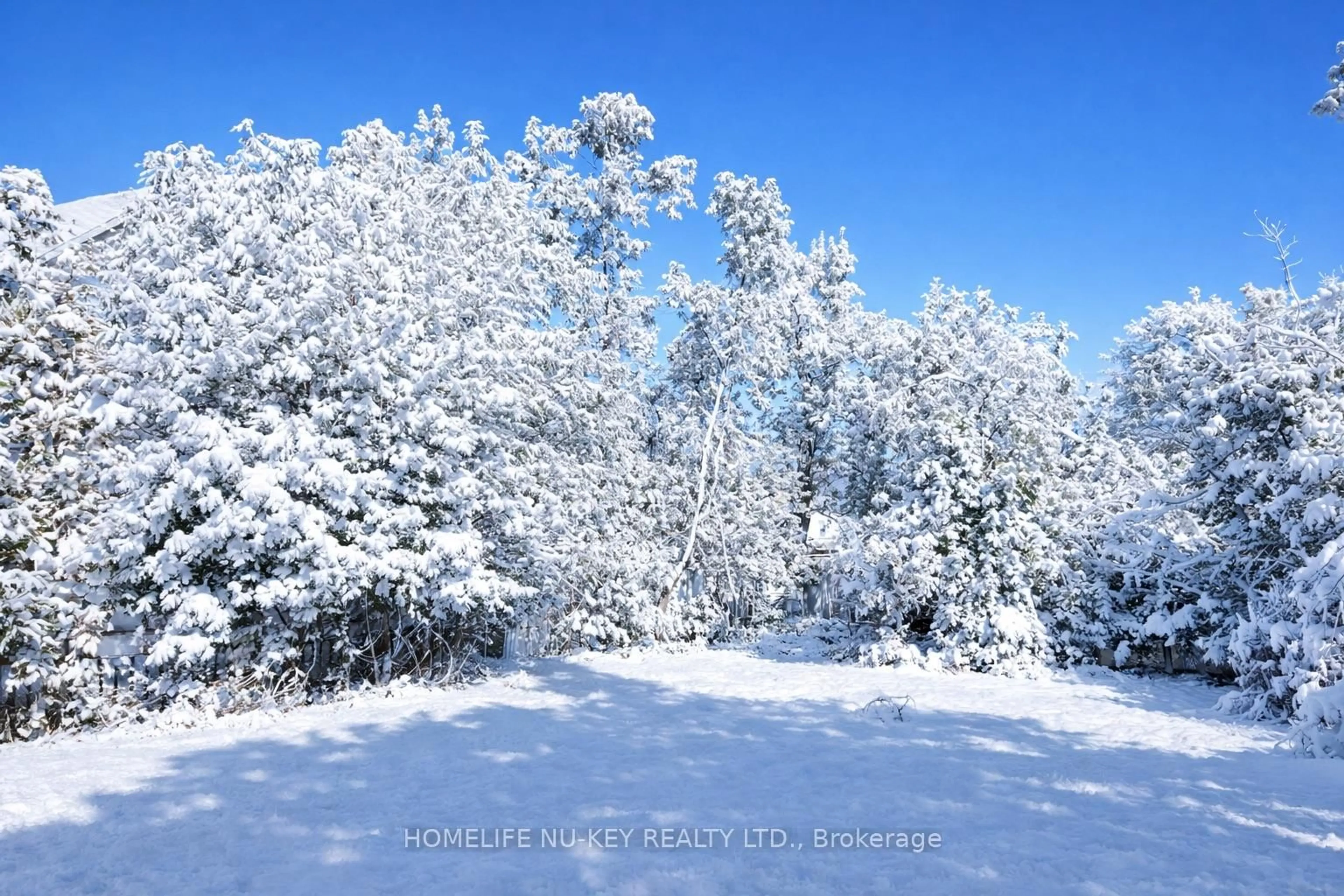 Blurry image for 246 Mary St, Orillia Ontario L3V 3E6