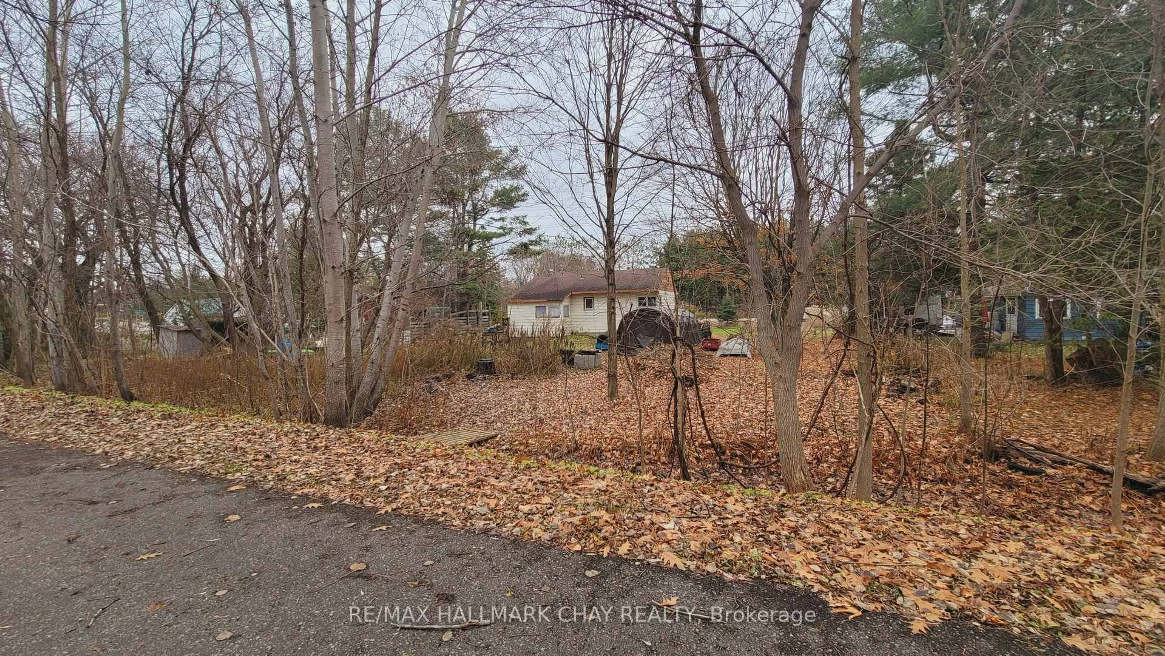 A pic from outside/outdoor area/front of a property/back of a property/a pic from drone, forest/trees view for 14189 12 Highway, Tay Ontario L0K 2C0