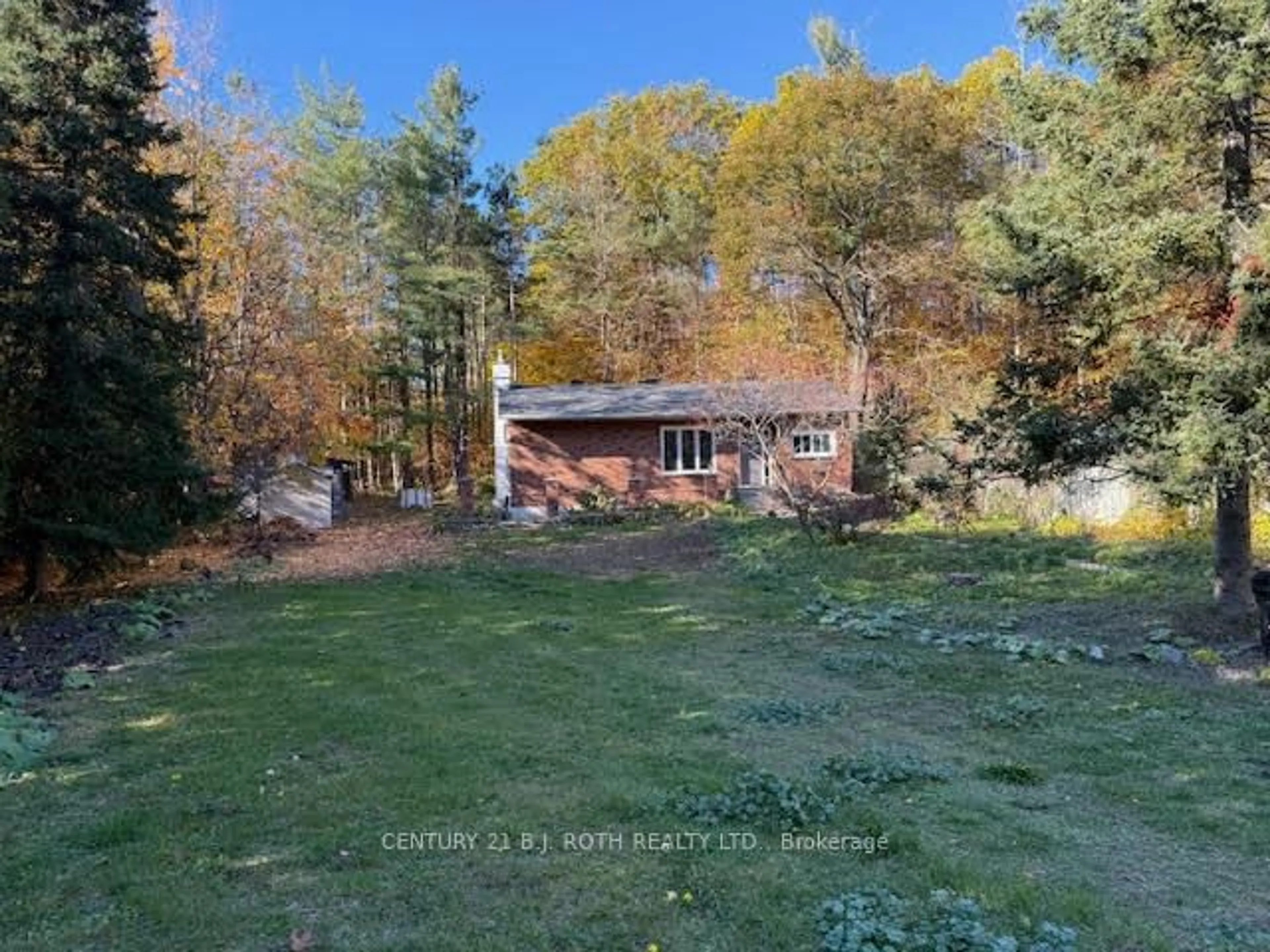 A pic from outside/outdoor area/front of a property/back of a property/a pic from drone, forest/trees view for 86 Doran Rd, Springwater Ontario L0L 1X0