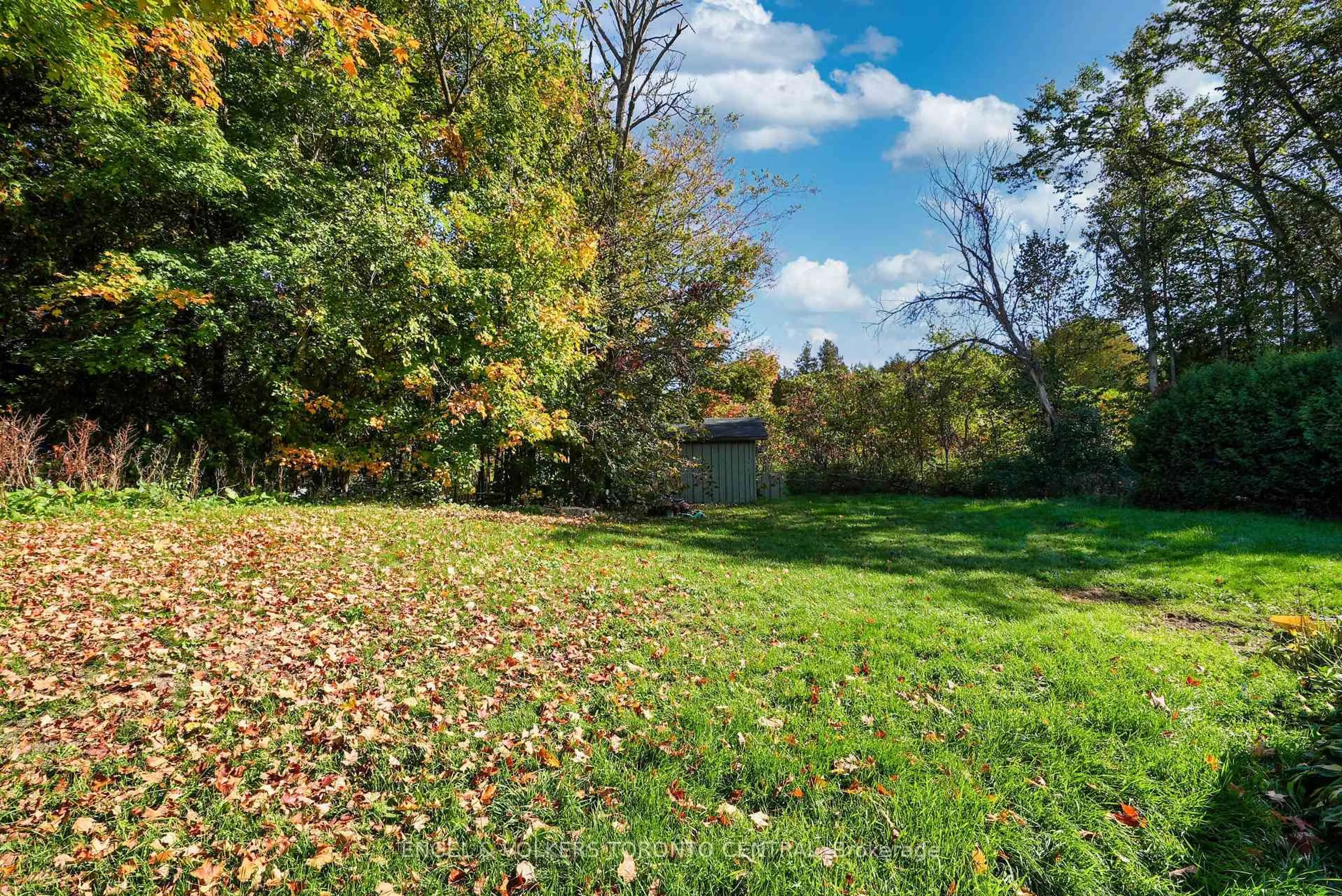 Patio, forest/trees view for 2165 TOWN Line, Severn Ontario L0K 1E0